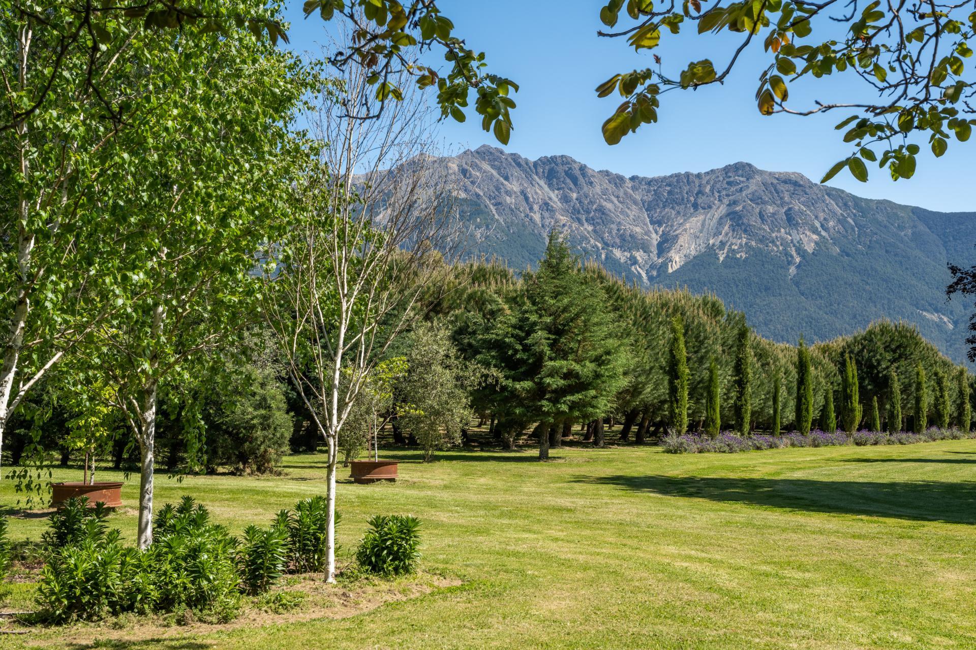 Wairau Valley