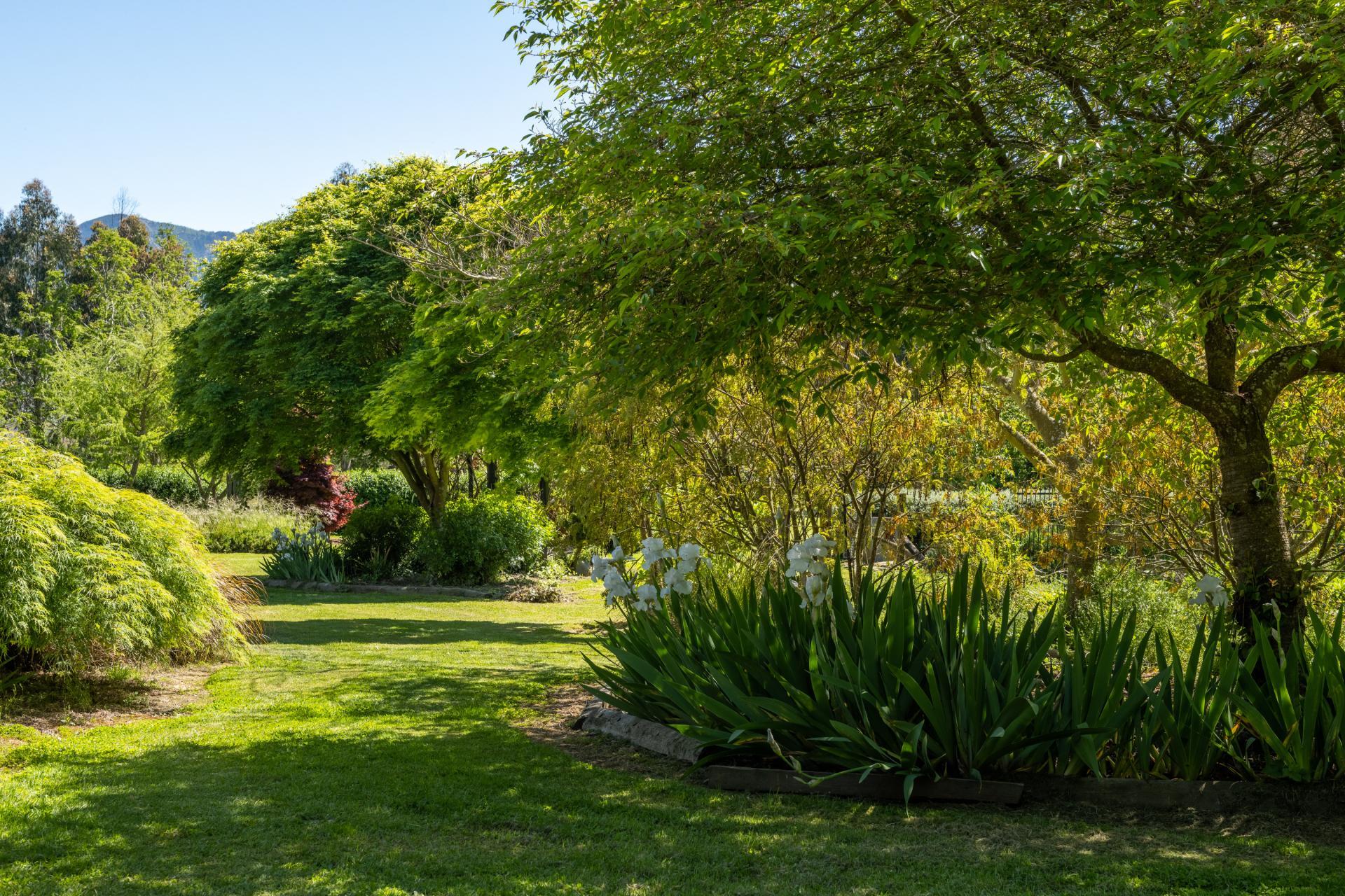 Wairau Valley