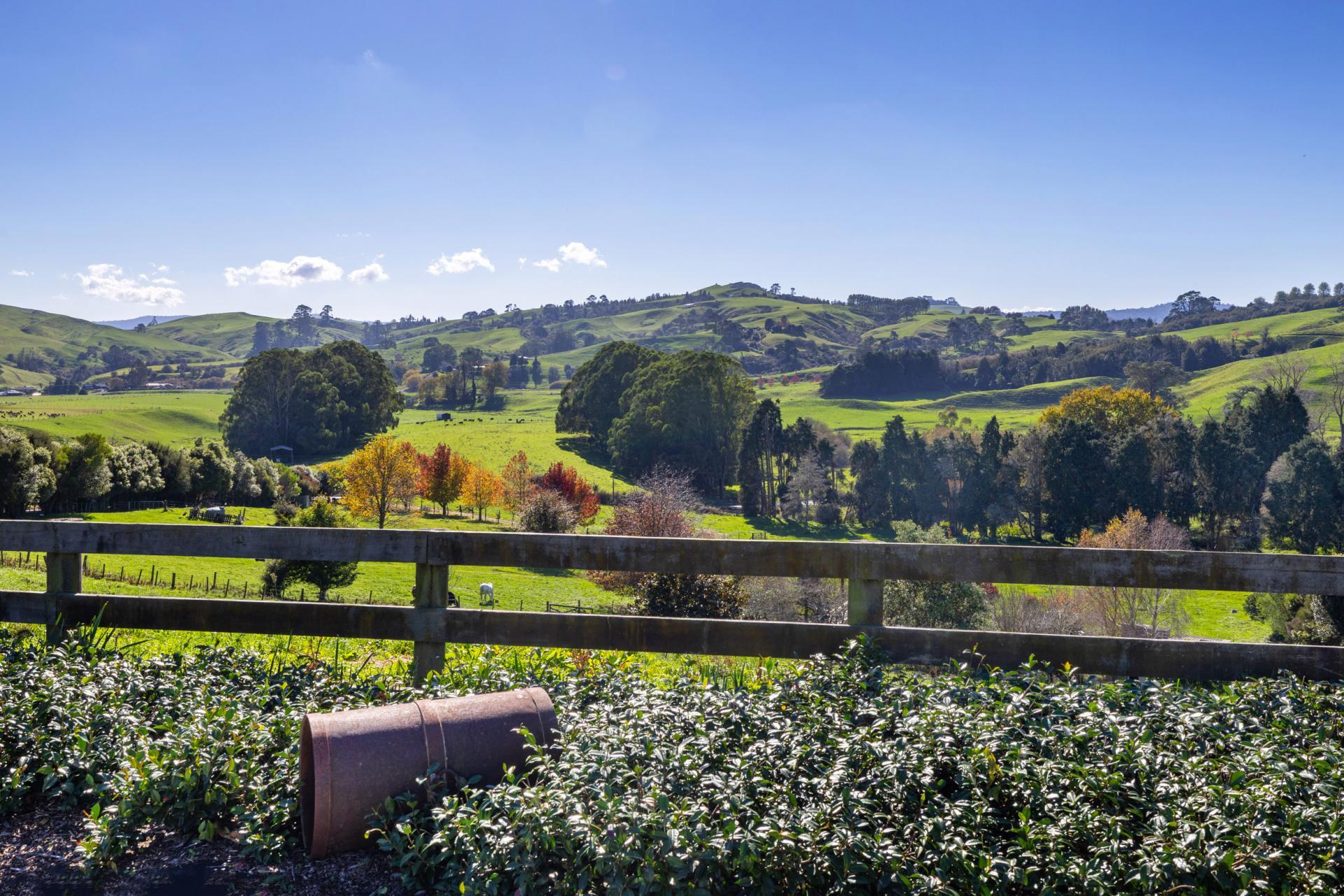 Unit 3, 957 Taotaoroa Road, Cambridge
