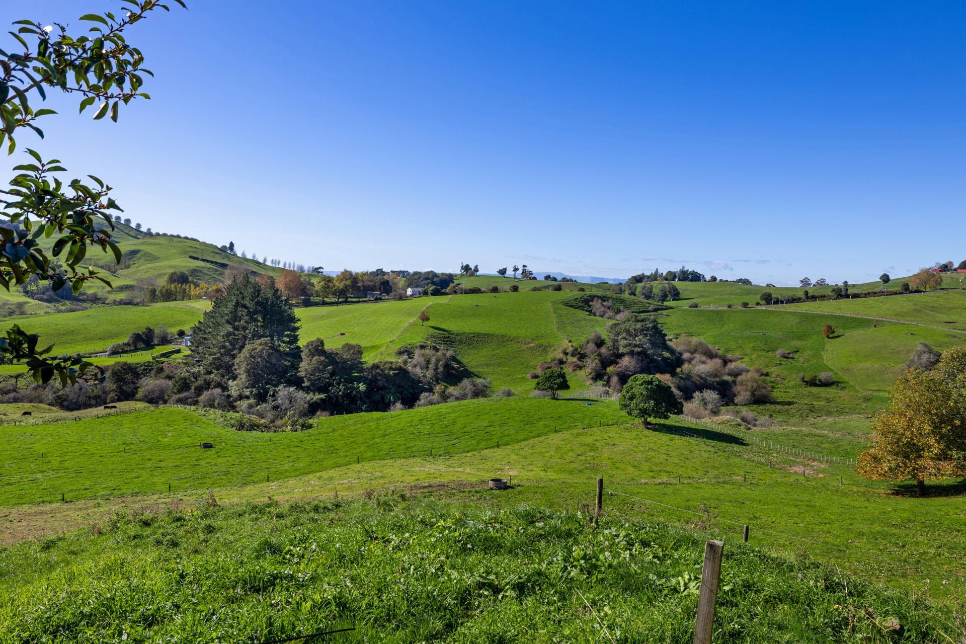 Unit 3, 957 Taotaoroa Road, Cambridge