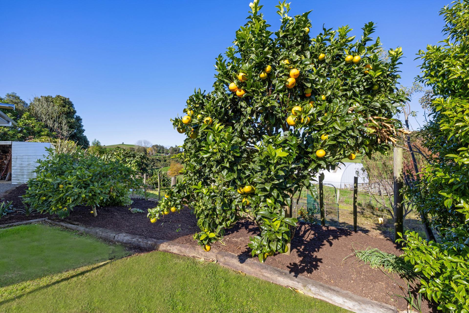 Unit 3, 957 Taotaoroa Road, Cambridge