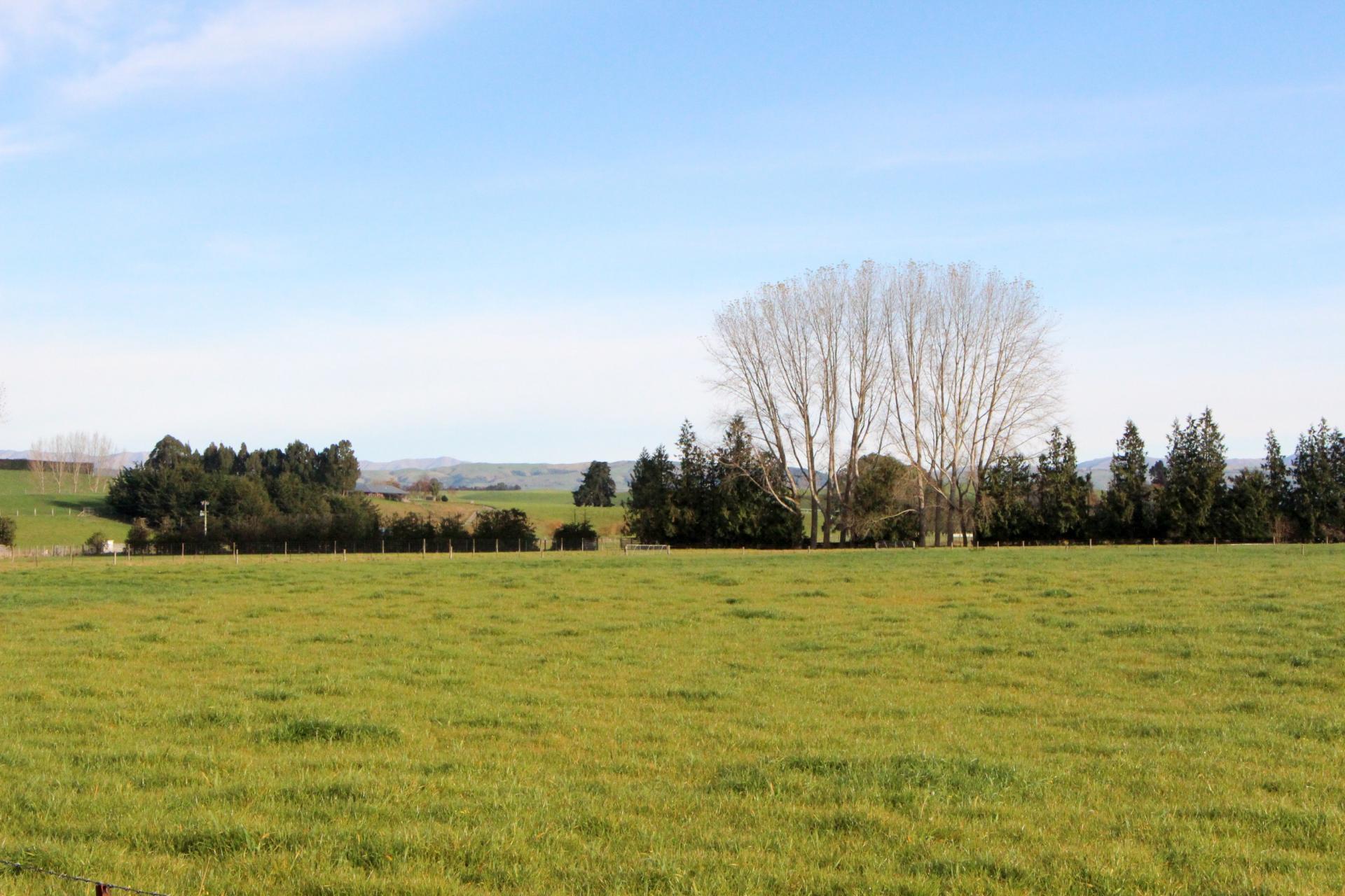 Totara Valley Road, Pleasant Point