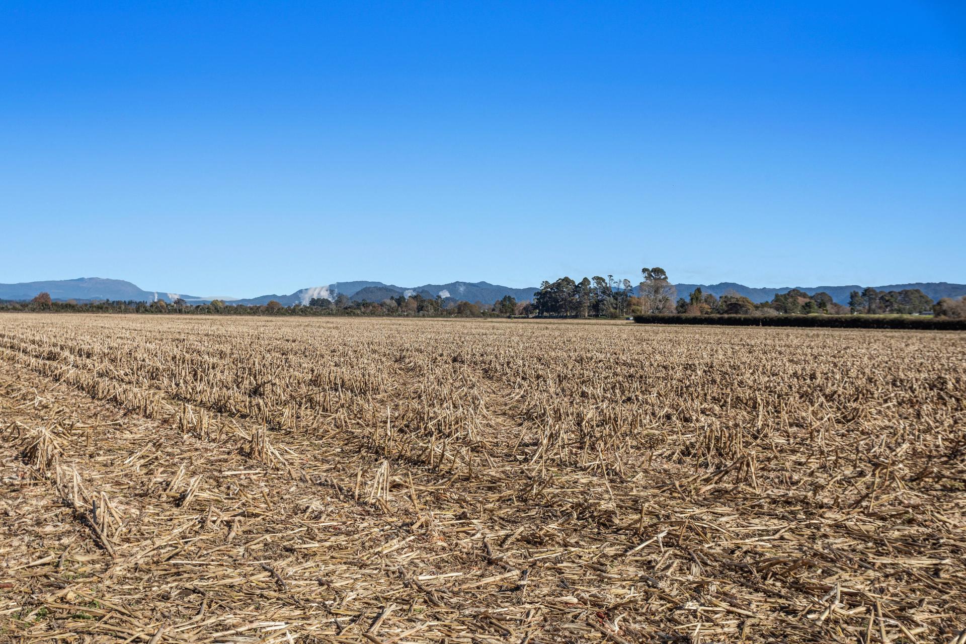 2237A and B State Highway 30, Te Teko