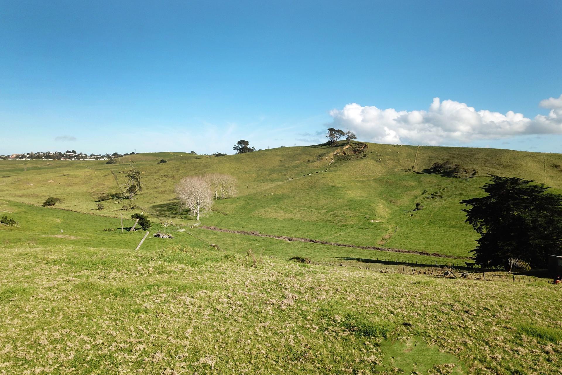 194 Awakino Road, Dargaville