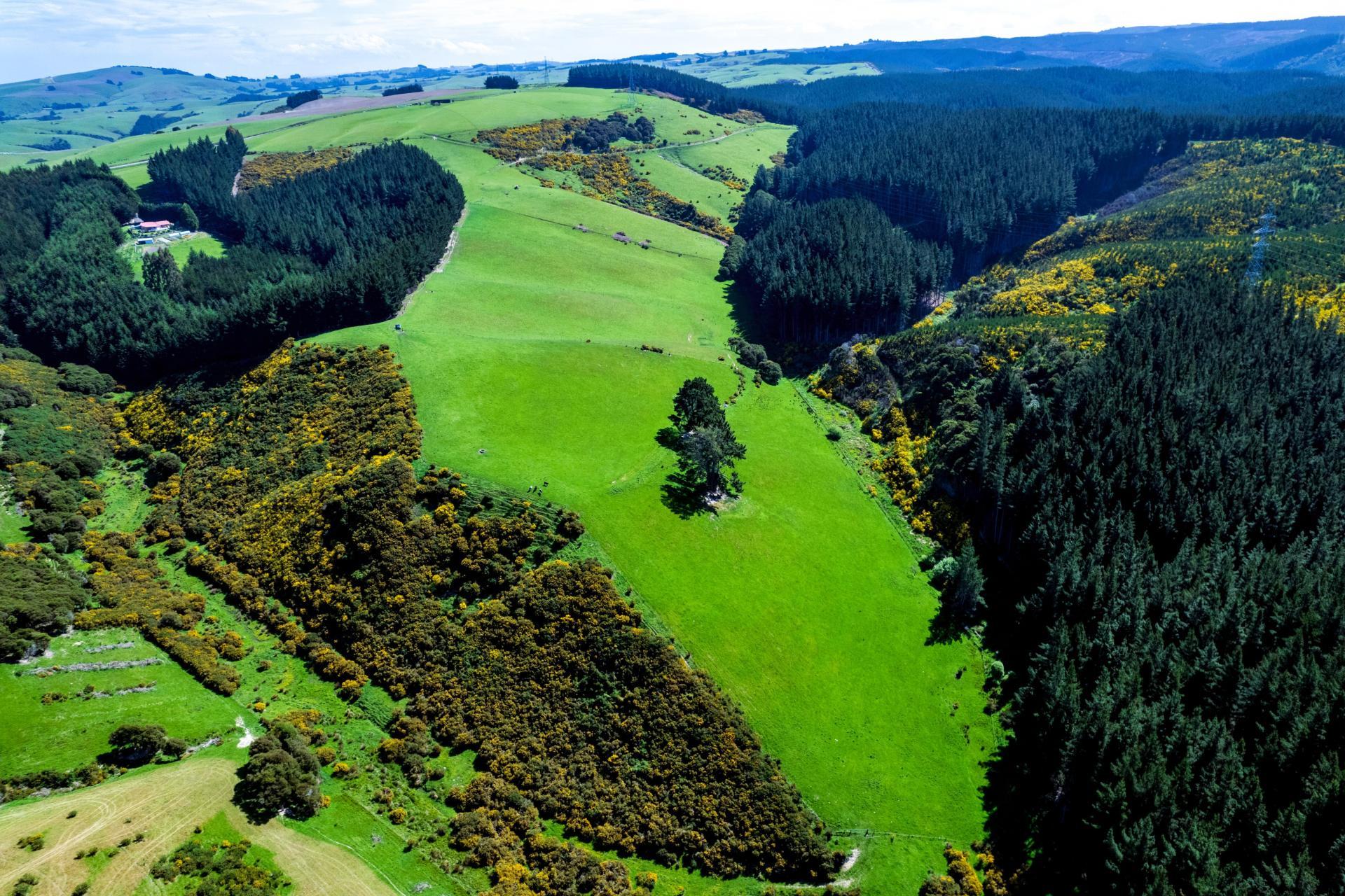 Waihola Hill Road, Clarendon