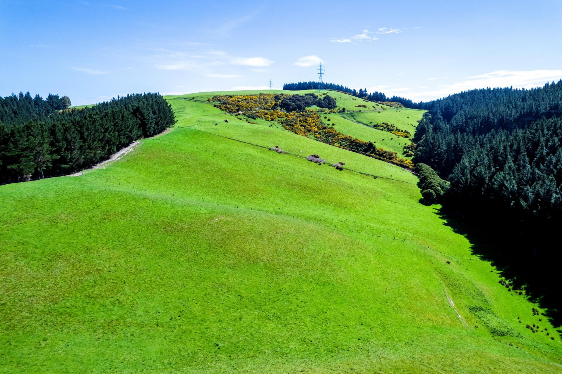 Waihola Hill Road, Clarendon