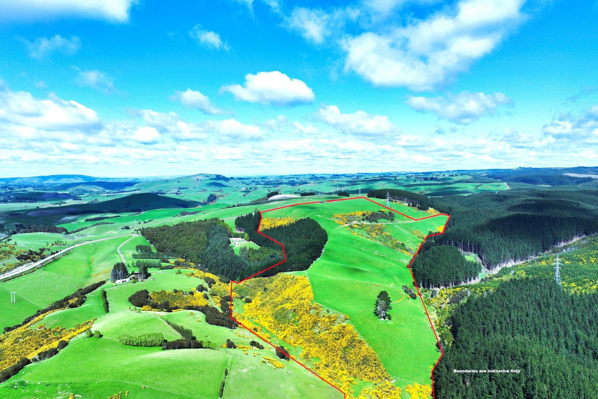 Waihola Hill Road, Clarendon