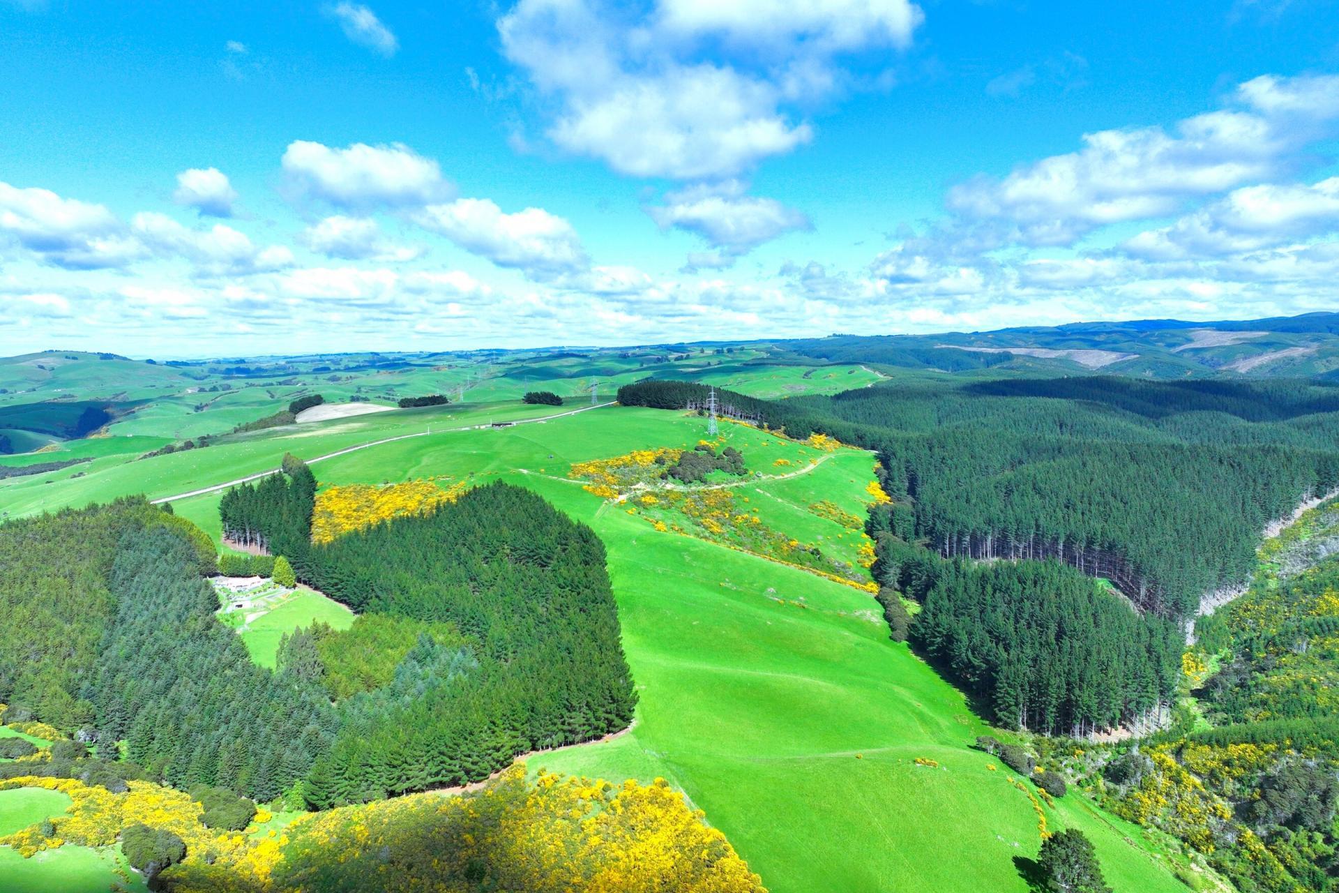 Waihola Hill Road, Clarendon