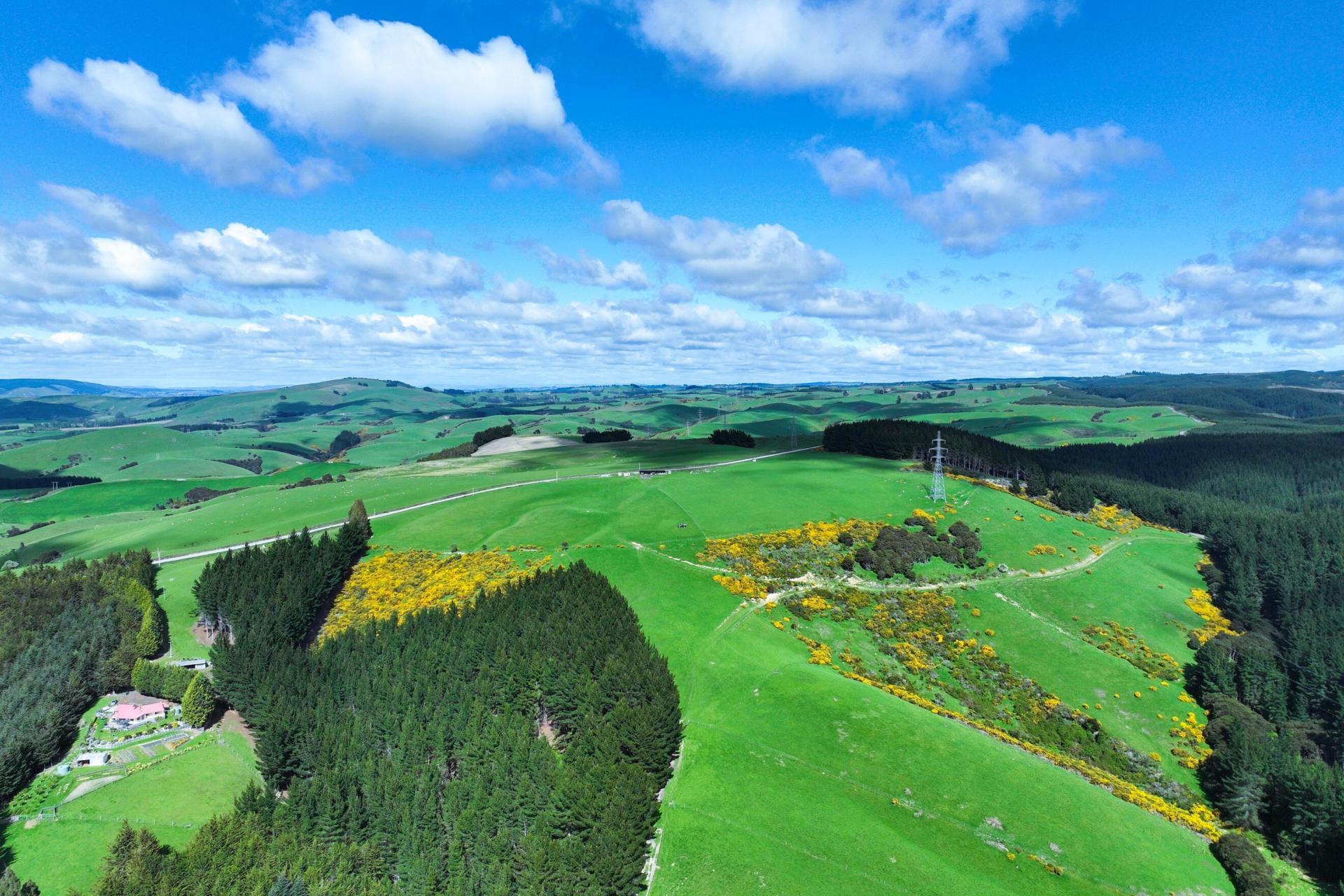 Waihola Hill Road, Clarendon
