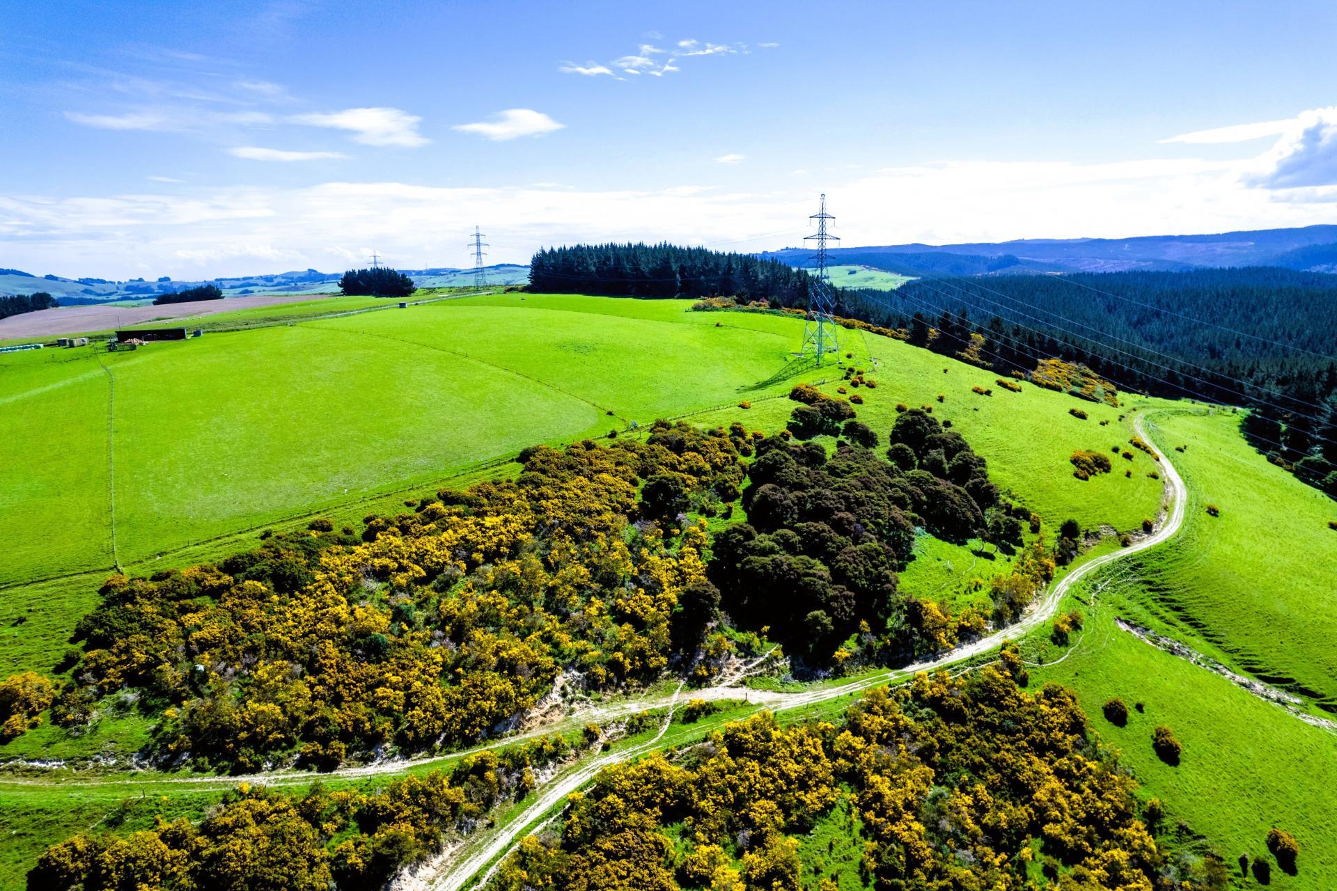 Waihola Hill Road, Clarendon