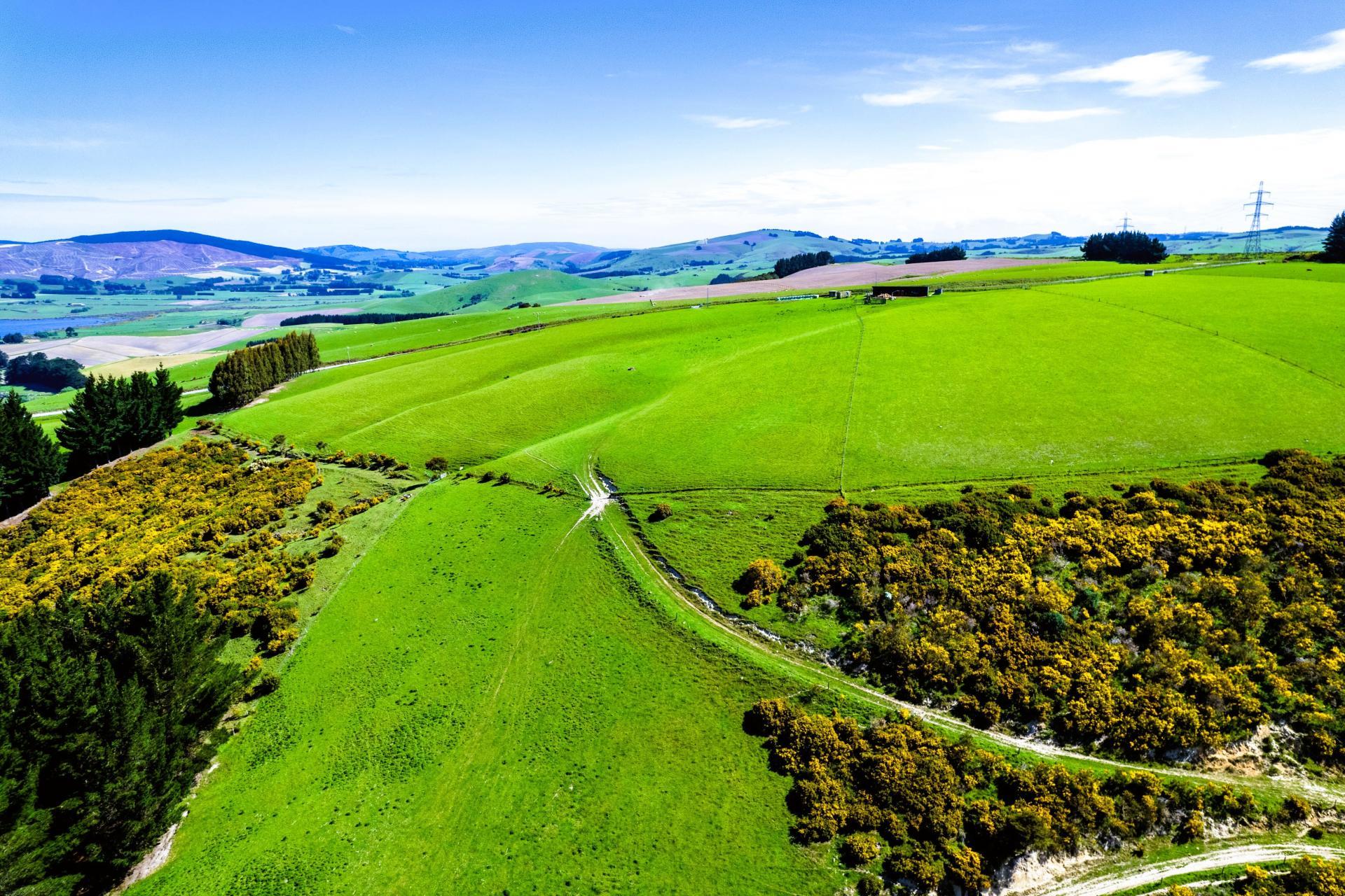 Waihola Hill Road, Clarendon
