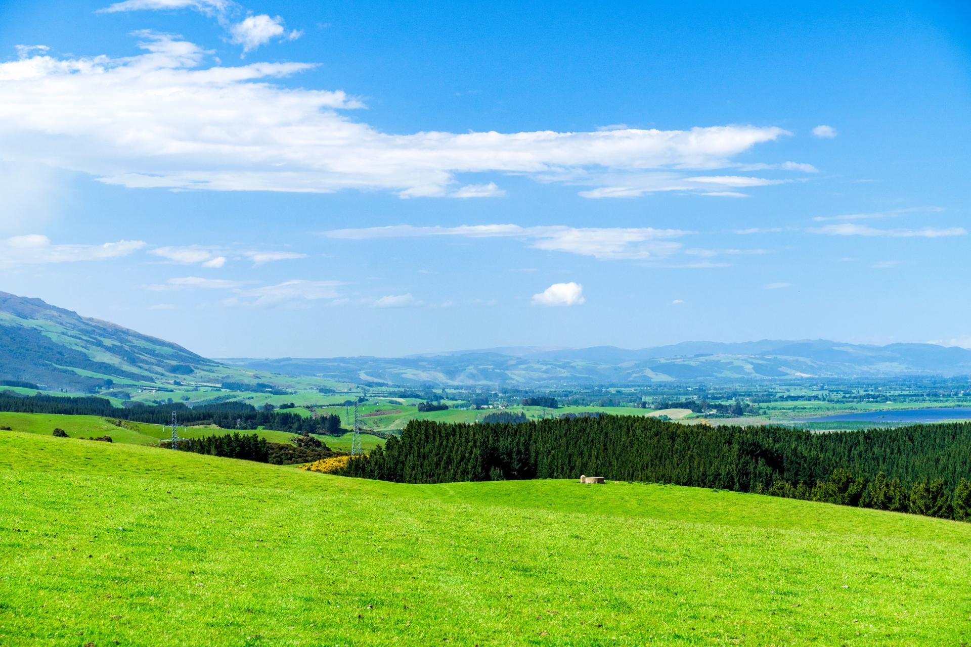 Waihola Hill Road, Clarendon