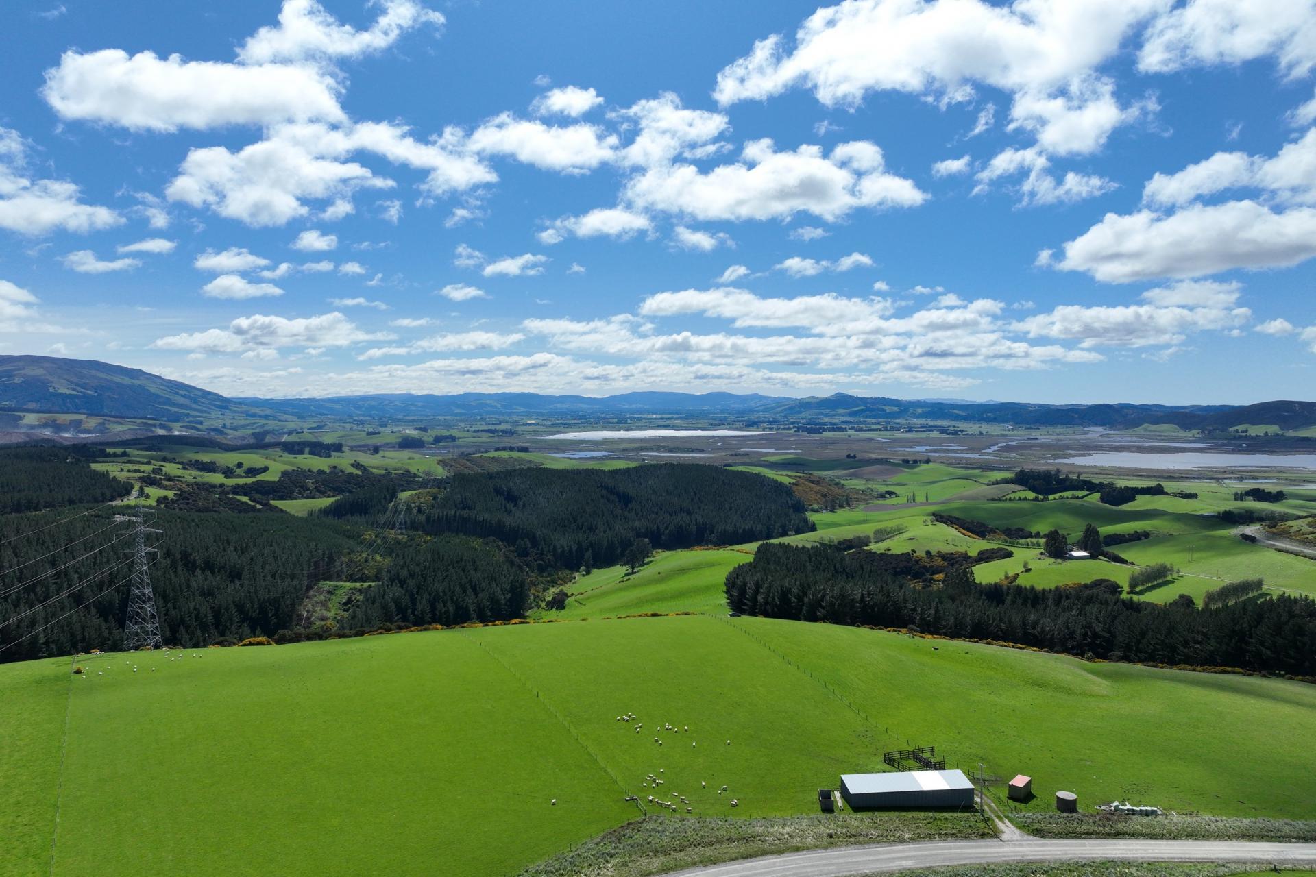Waihola Hill Road, Clarendon