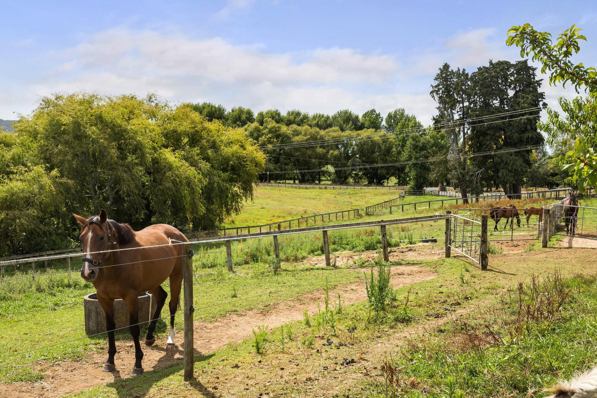 36 Frankton Road, Waihi
