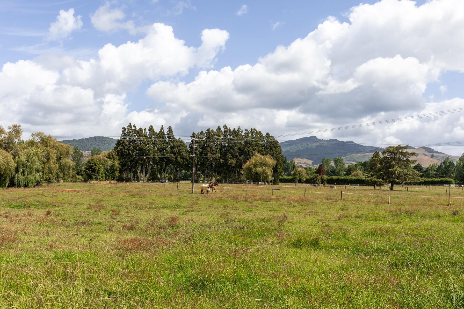 36 Frankton Road, Waihi