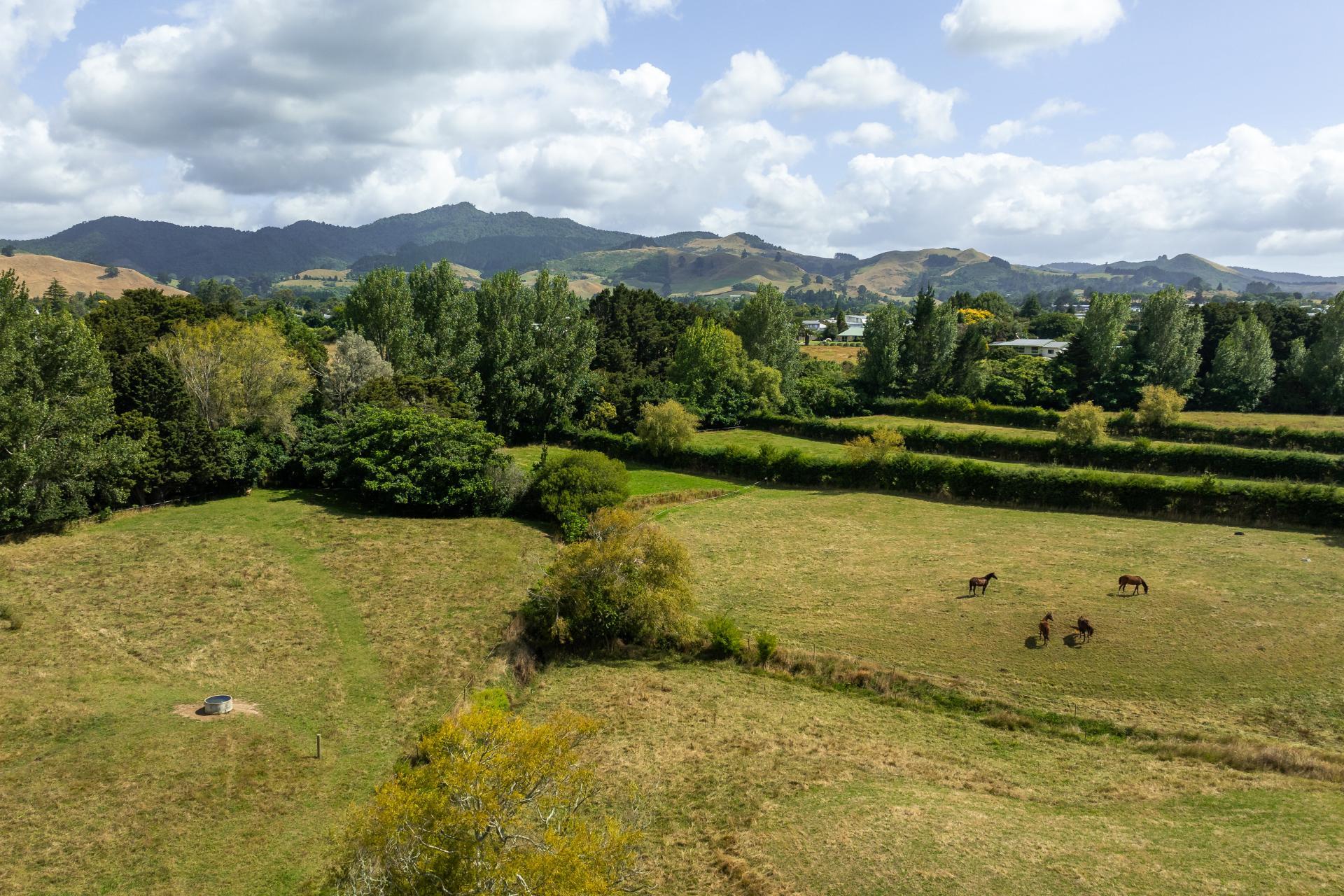 36 Frankton Road, Waihi