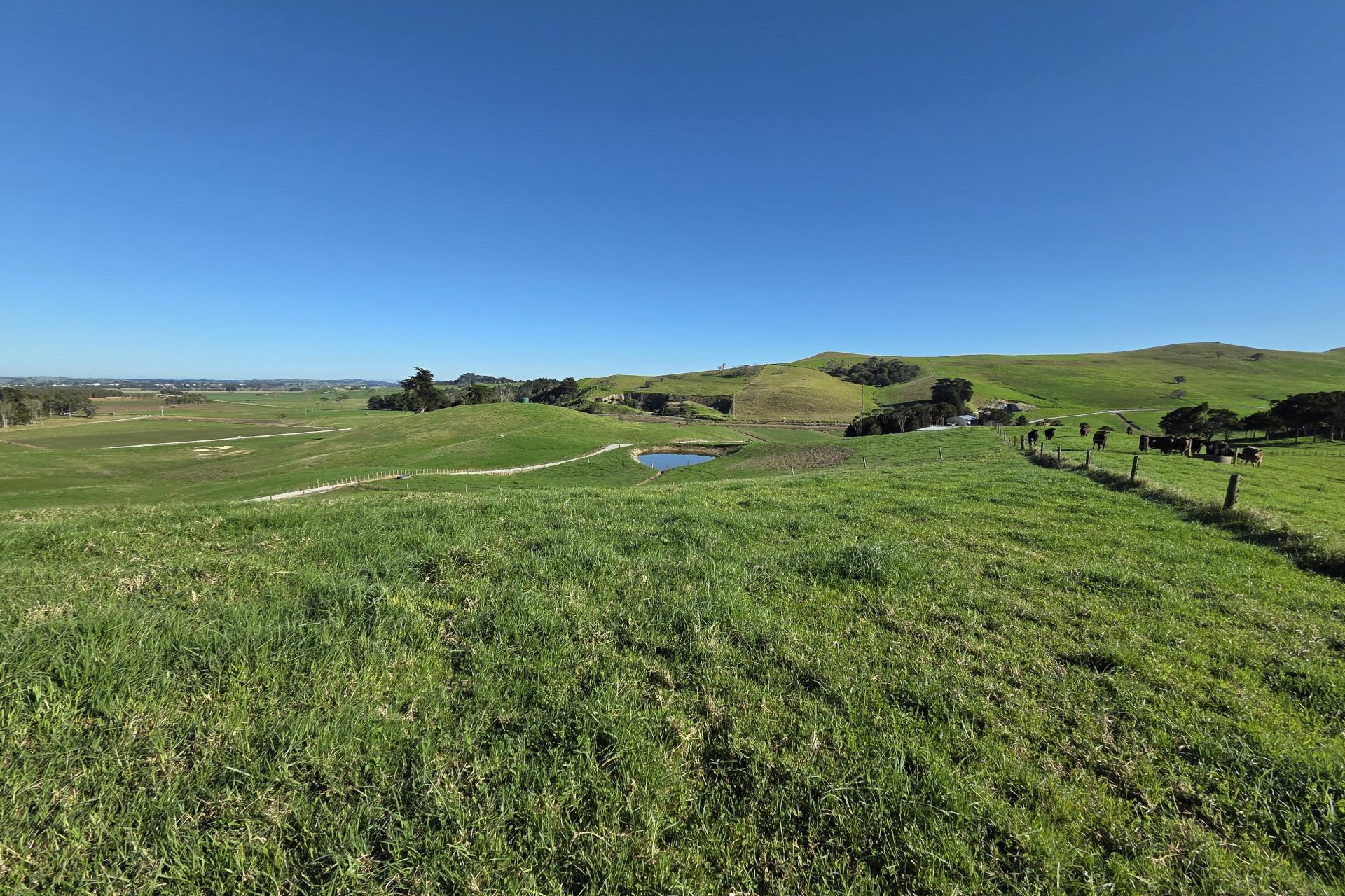 Lot 7 Mititai Road, Dargaville