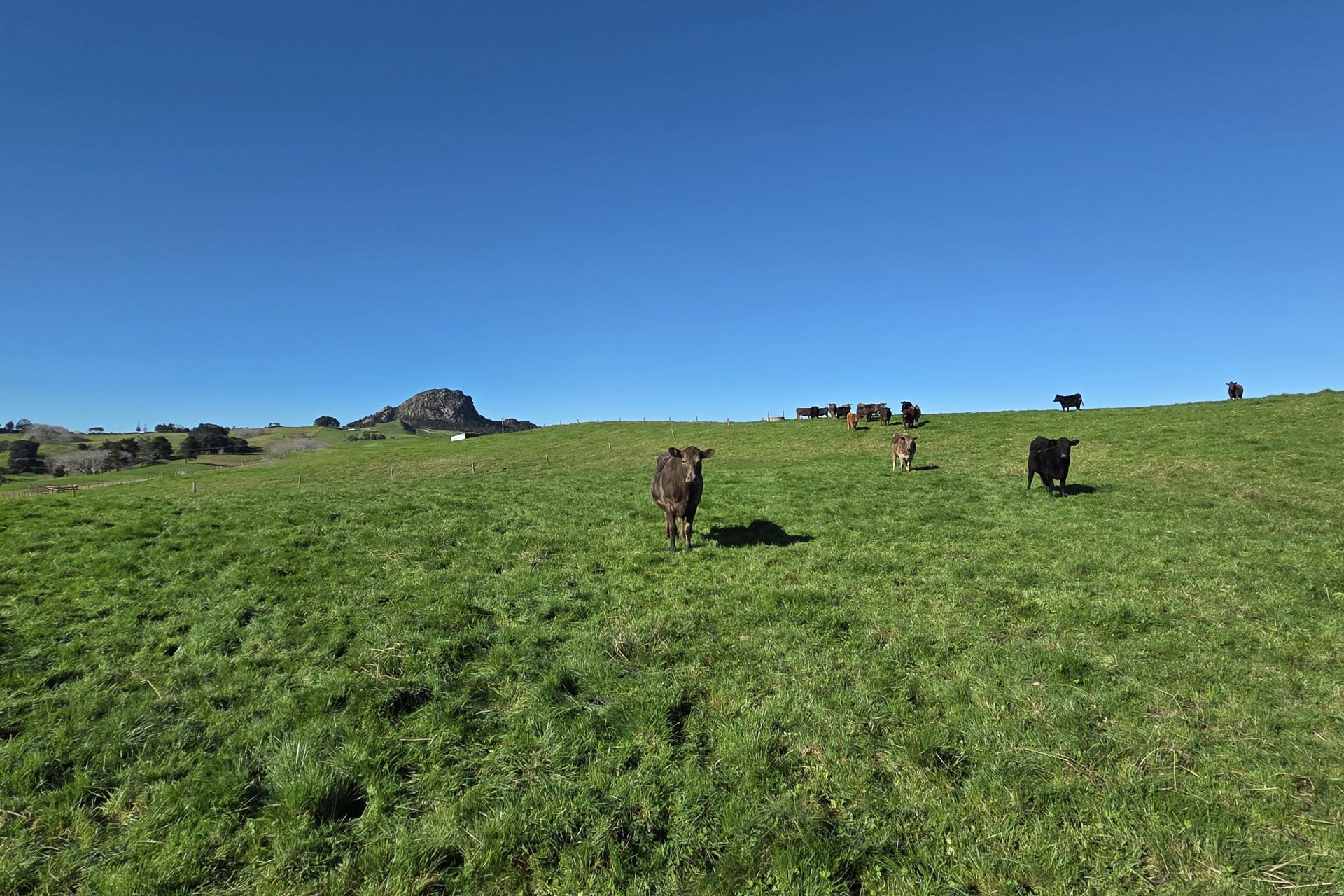 Lot 7 Mititai Road, Dargaville