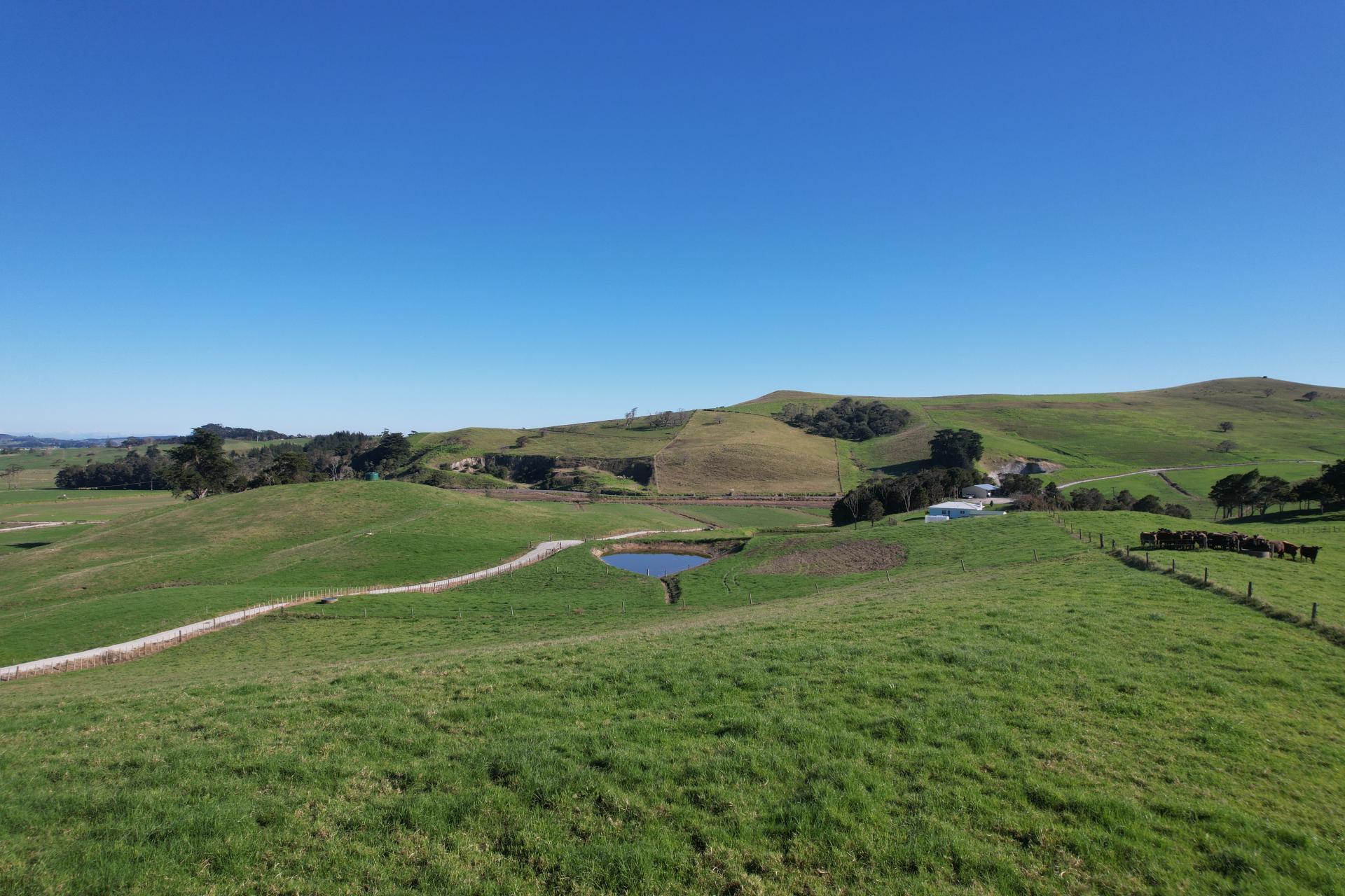 Lot 7 Mititai Road, Dargaville