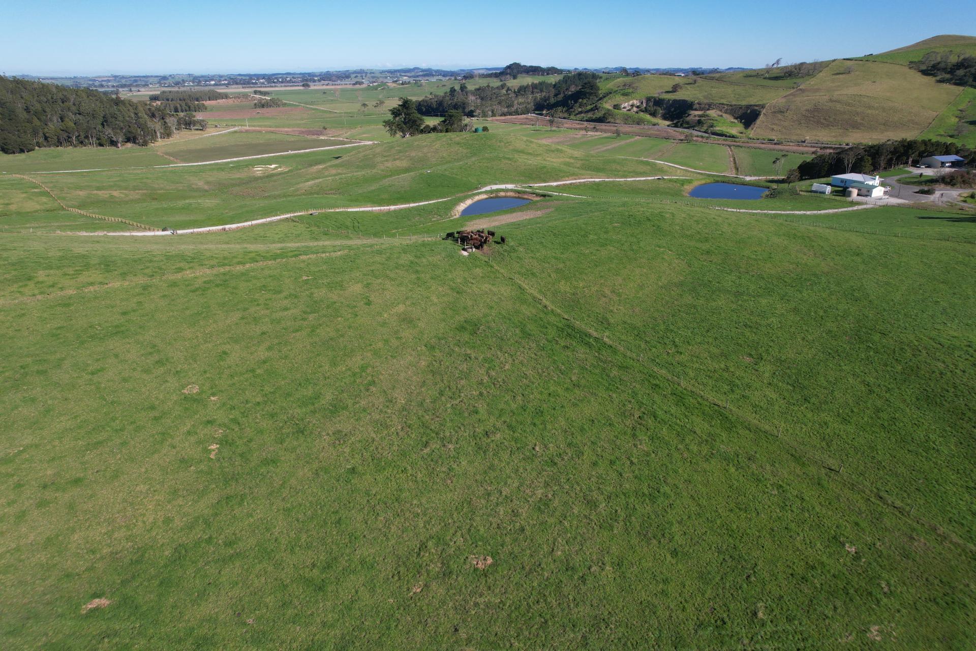 Lot 7 Mititai Road, Dargaville