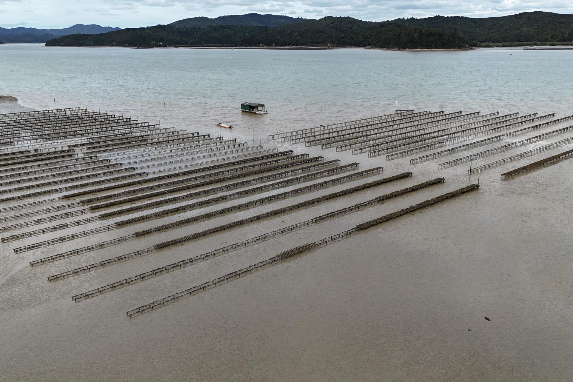 Waikare Inlet, Opua