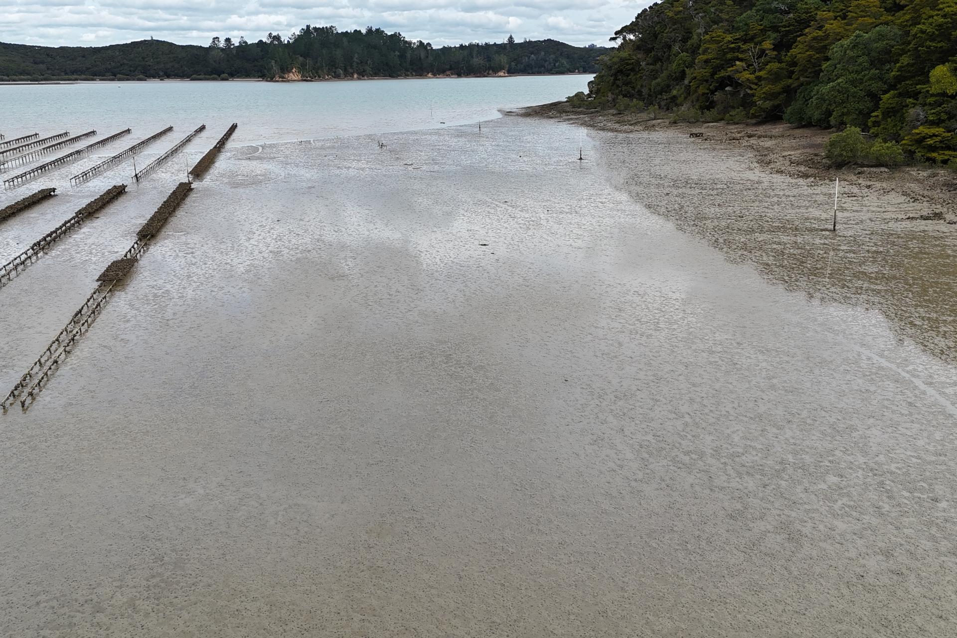 Waikare Inlet, Opua