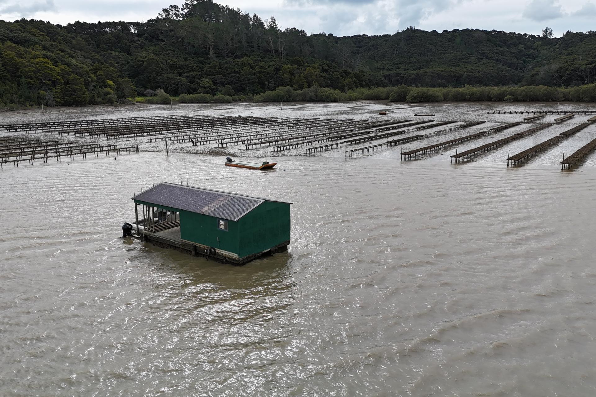 Waikare Inlet, Opua