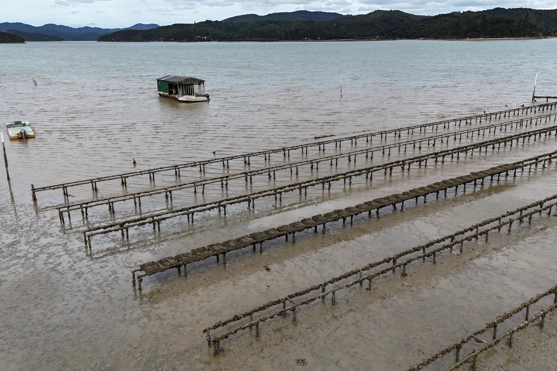 Waikare Inlet, Opua