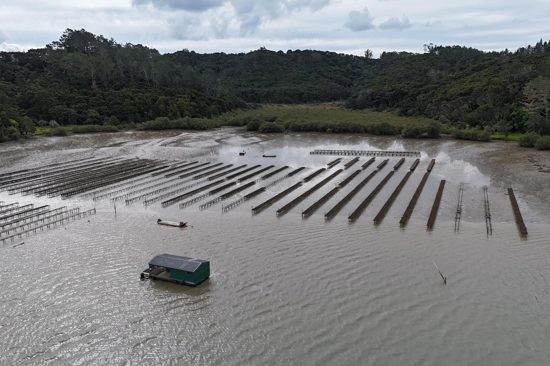 Waikare Inlet, Opua