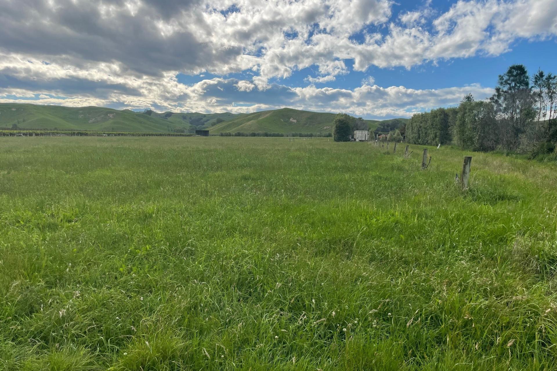 174 Moteo Pa Road, Puketapu