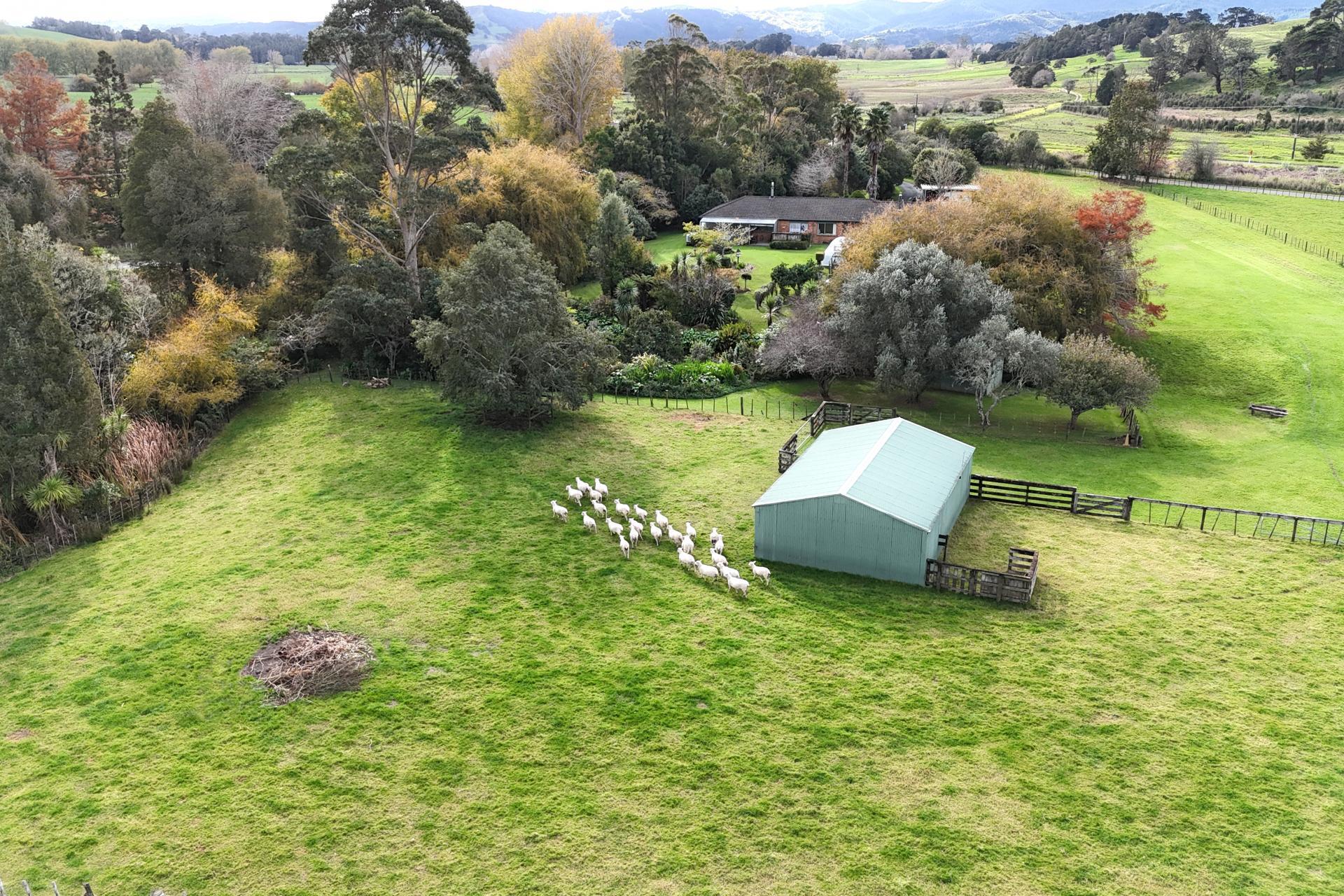 11 Guy Road, Kaipara Flats
