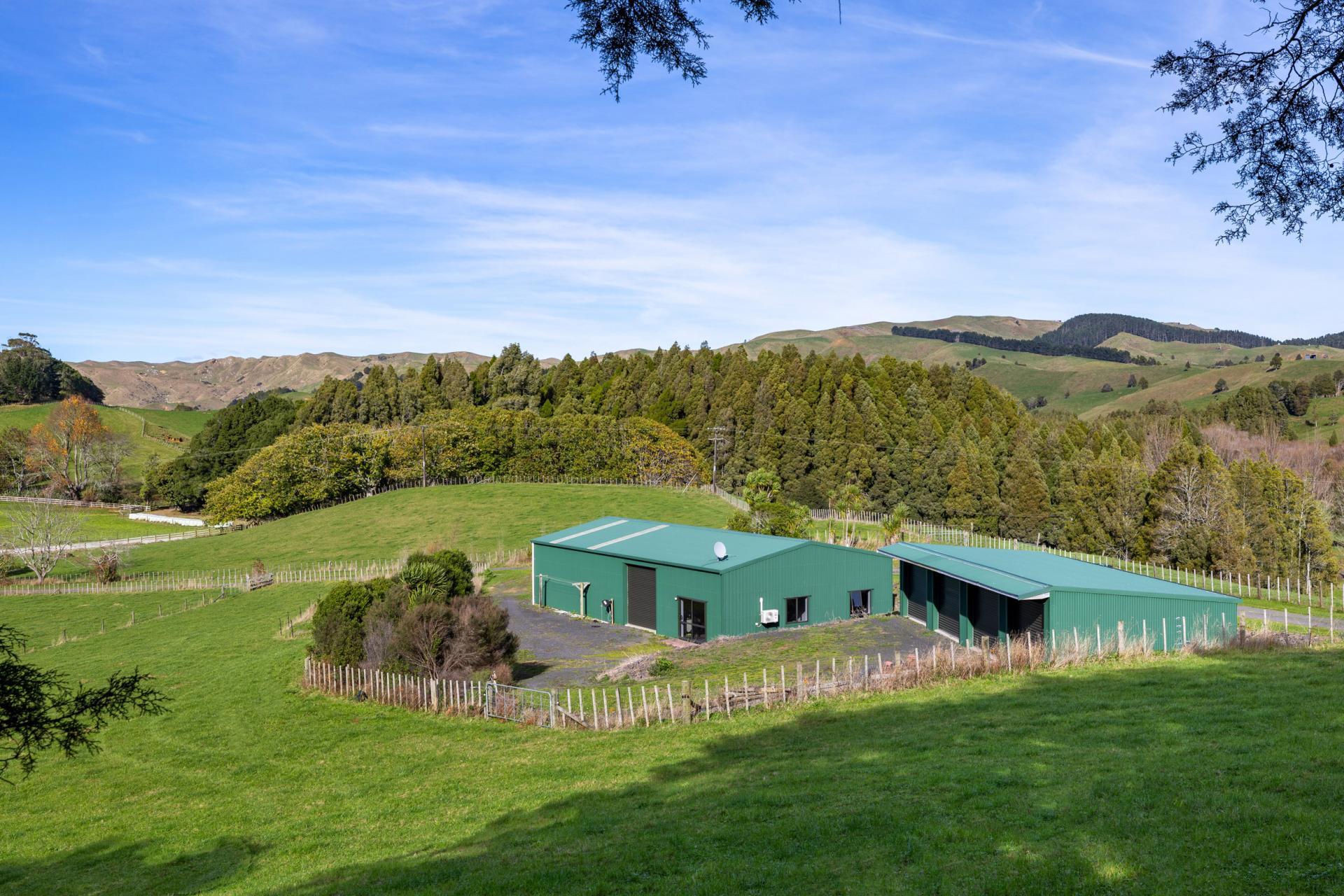 143 Pond Road, Raglan