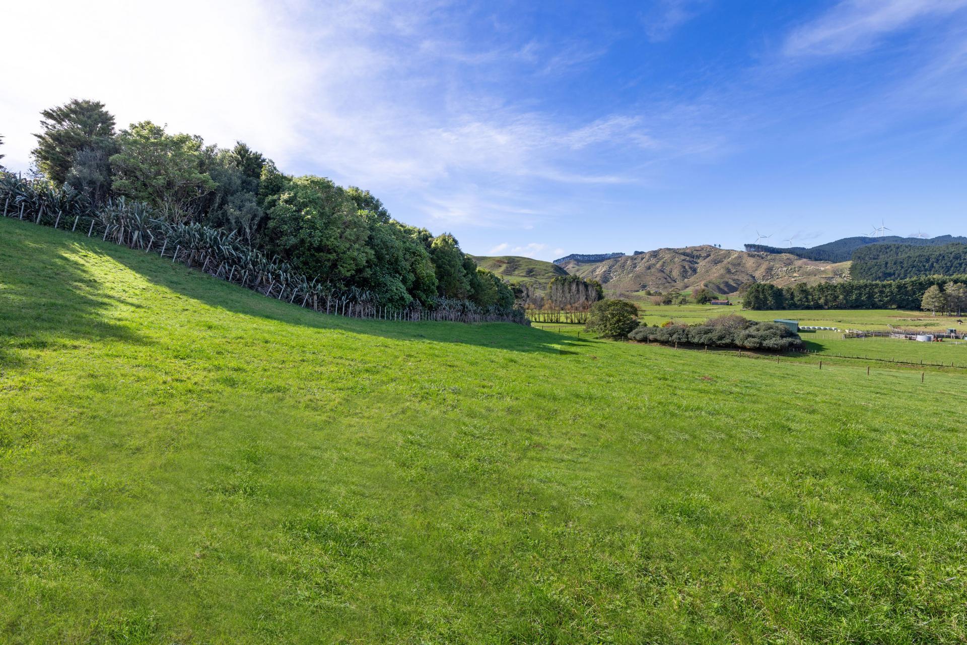 143 Pond Road, Raglan