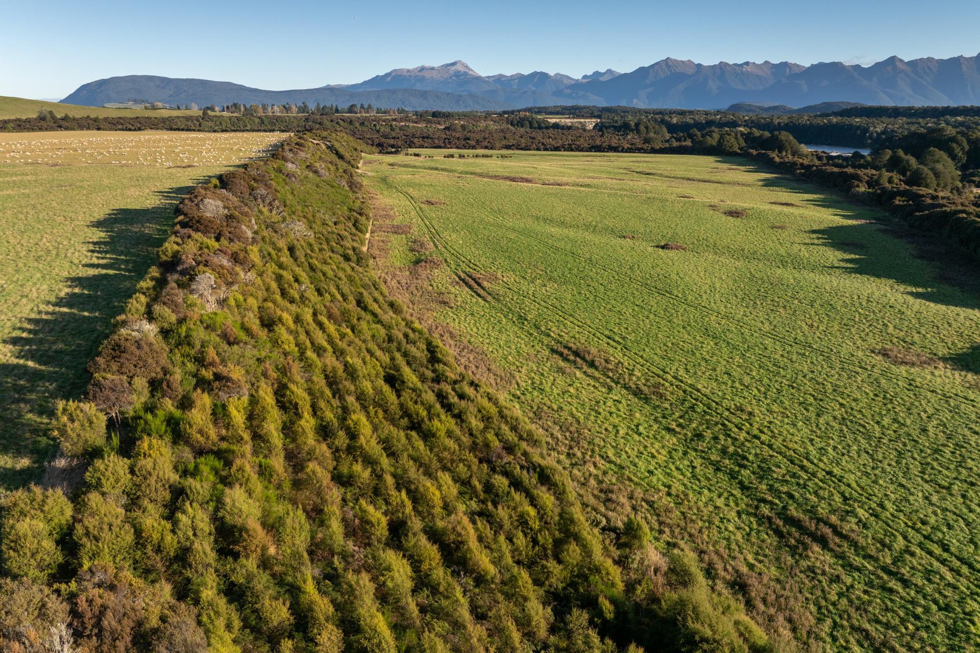 1223 Manapouri Te Anau Highway, Manapouri