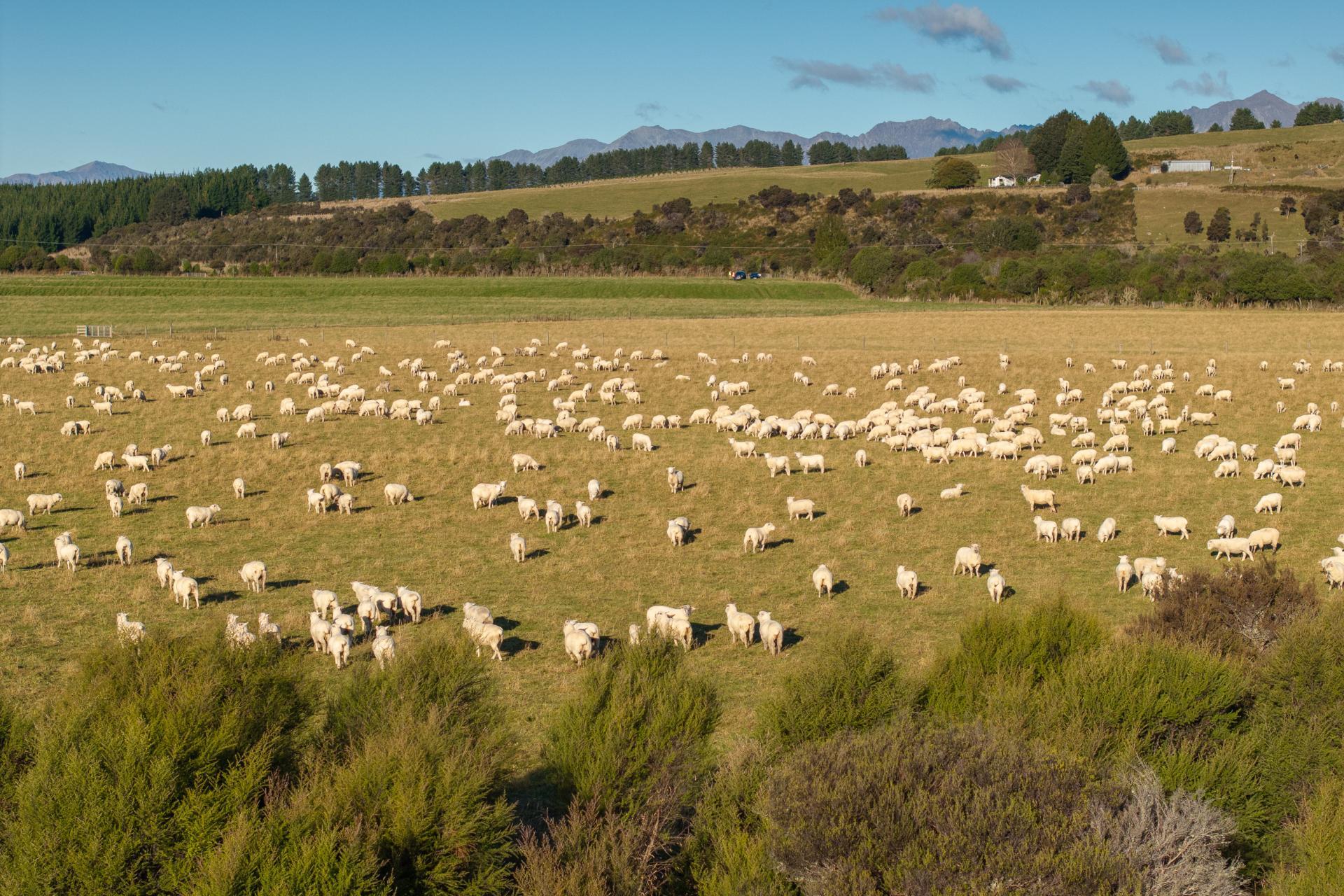 1223 Manapouri Te Anau Highway, Manapouri