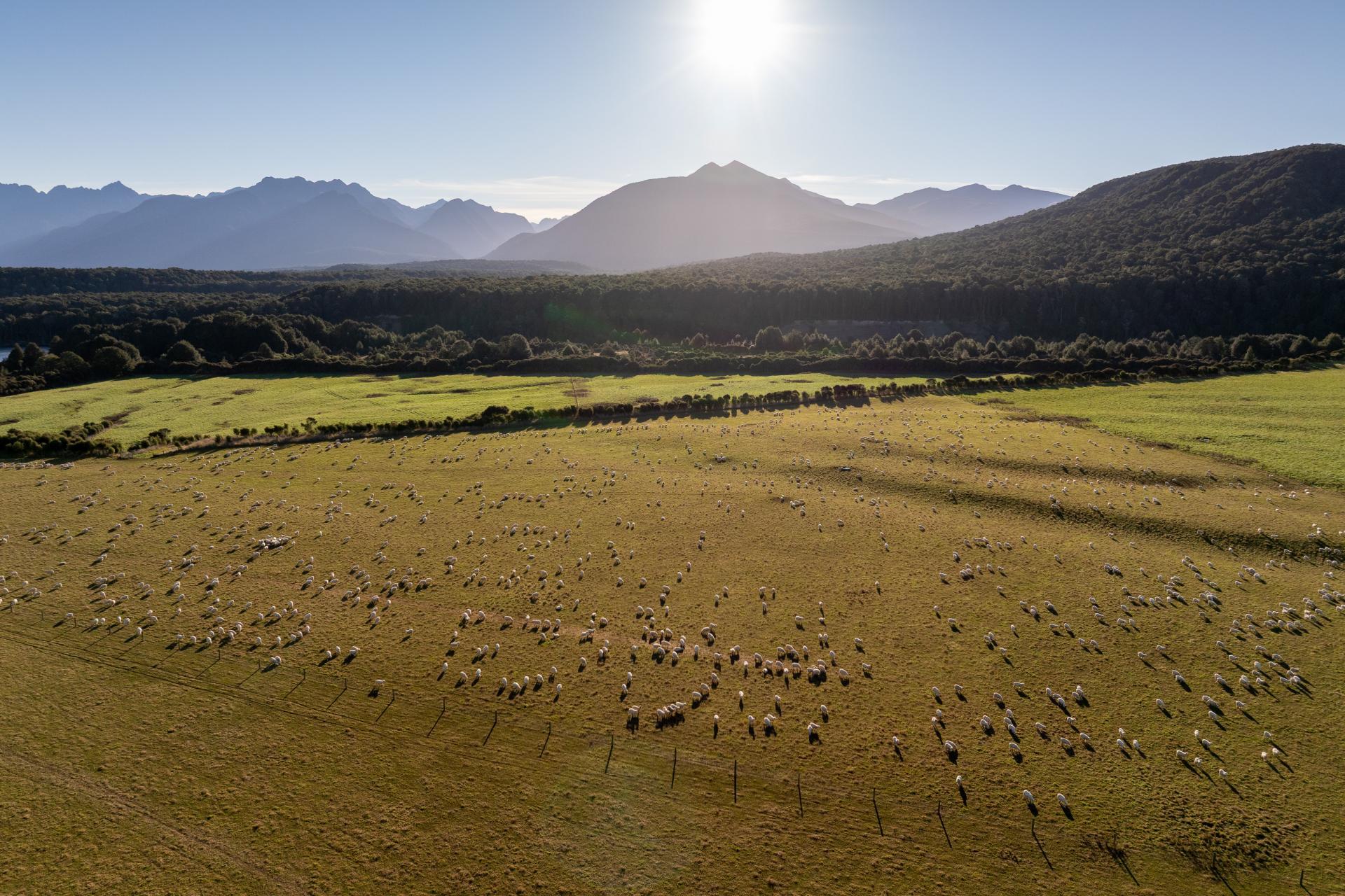 1223 Manapouri Te Anau Highway, Manapouri
