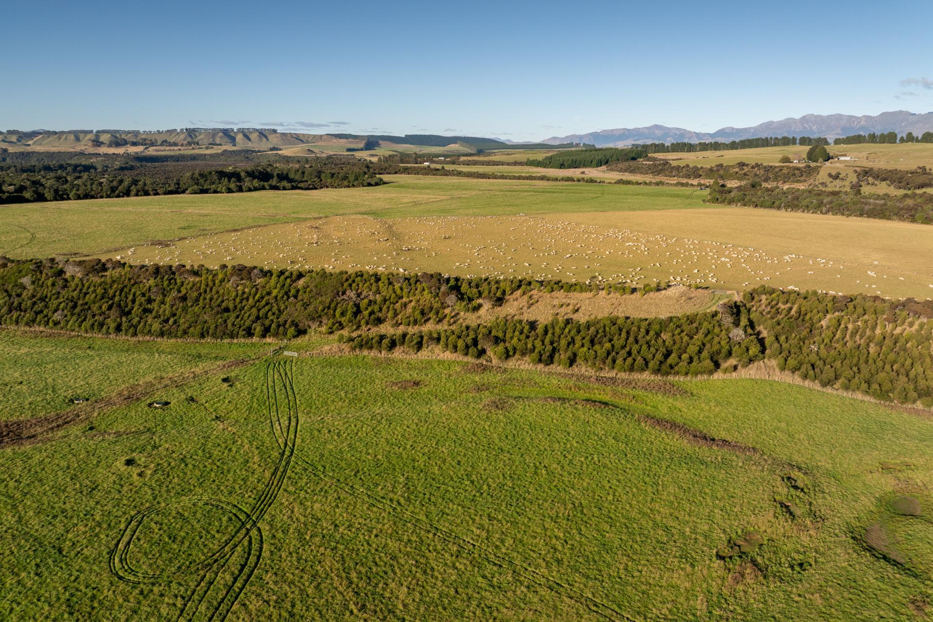 1223 Manapouri Te Anau Highway, Manapouri
