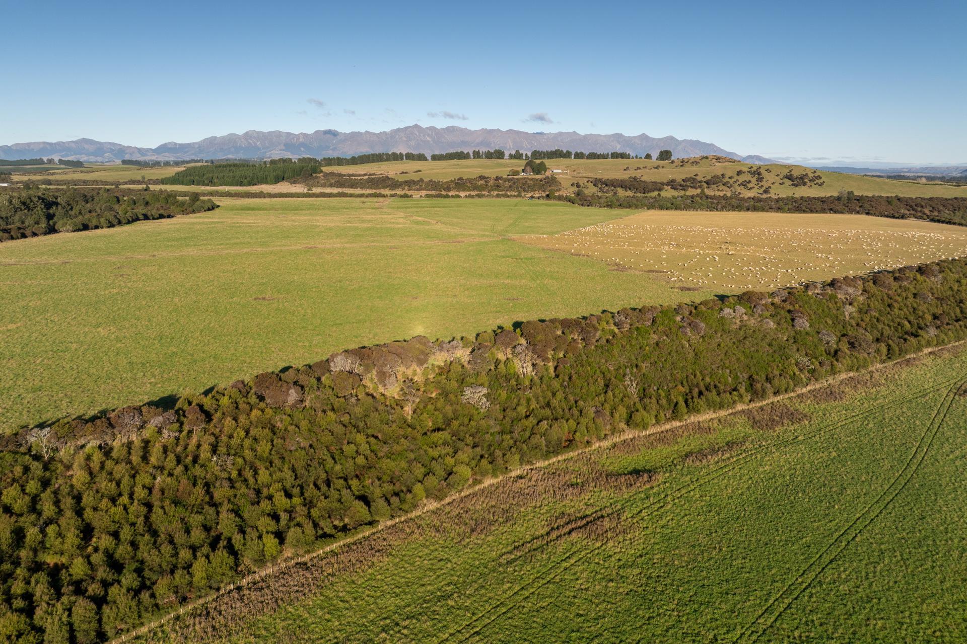 1223 Manapouri Te Anau Highway, Manapouri