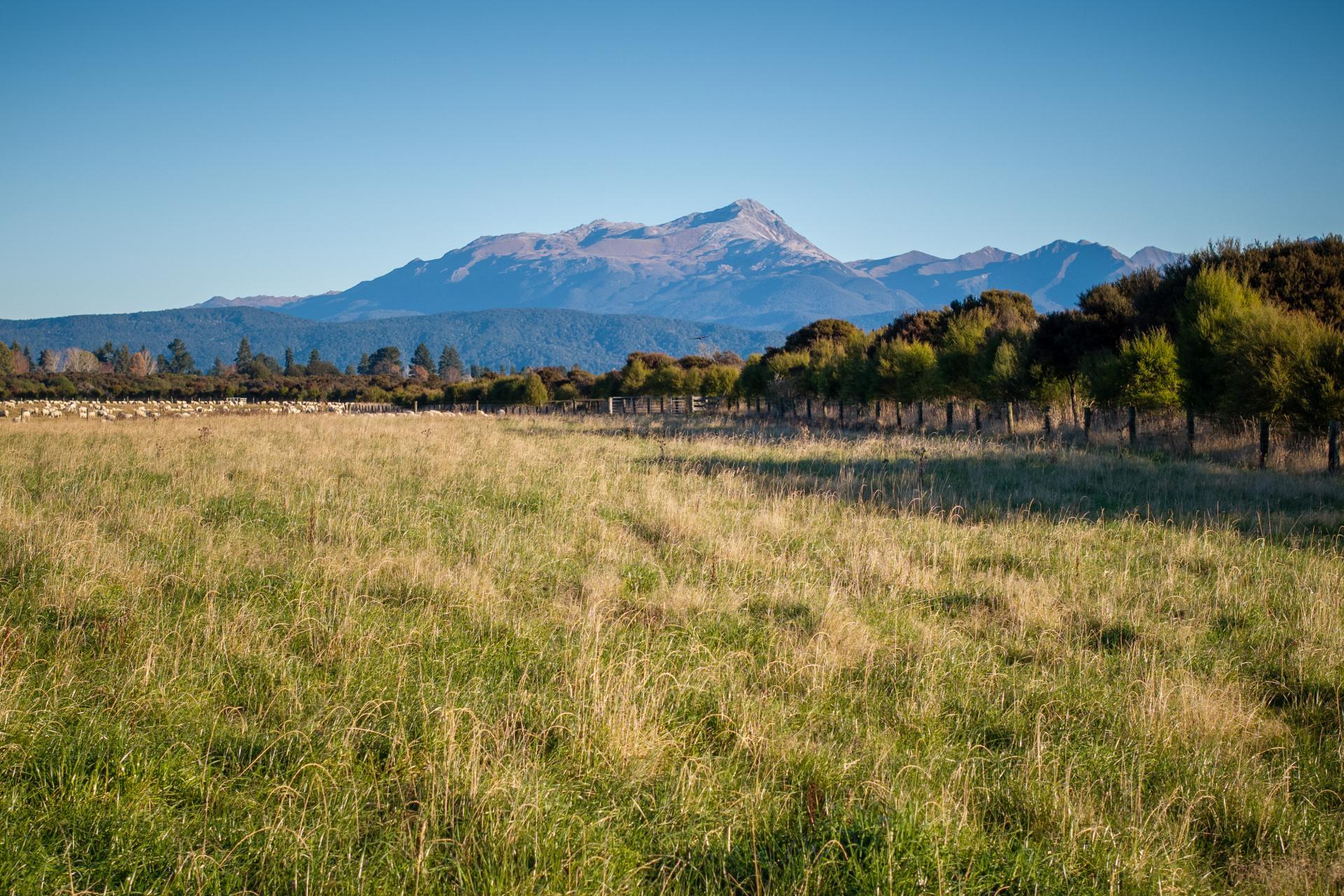 1223 Manapouri Te Anau Highway, Manapouri
