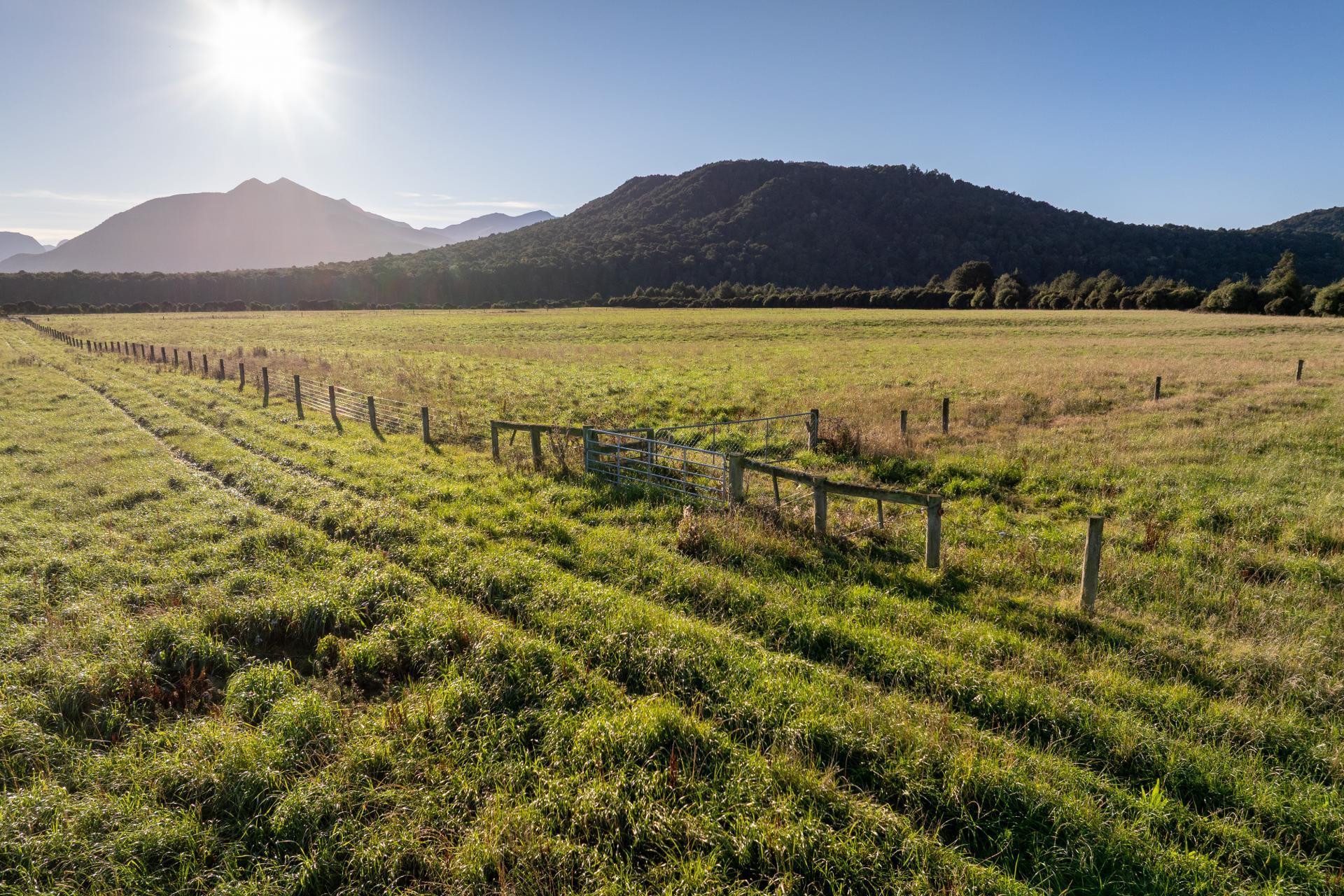 1223 Manapouri Te Anau Highway, Manapouri