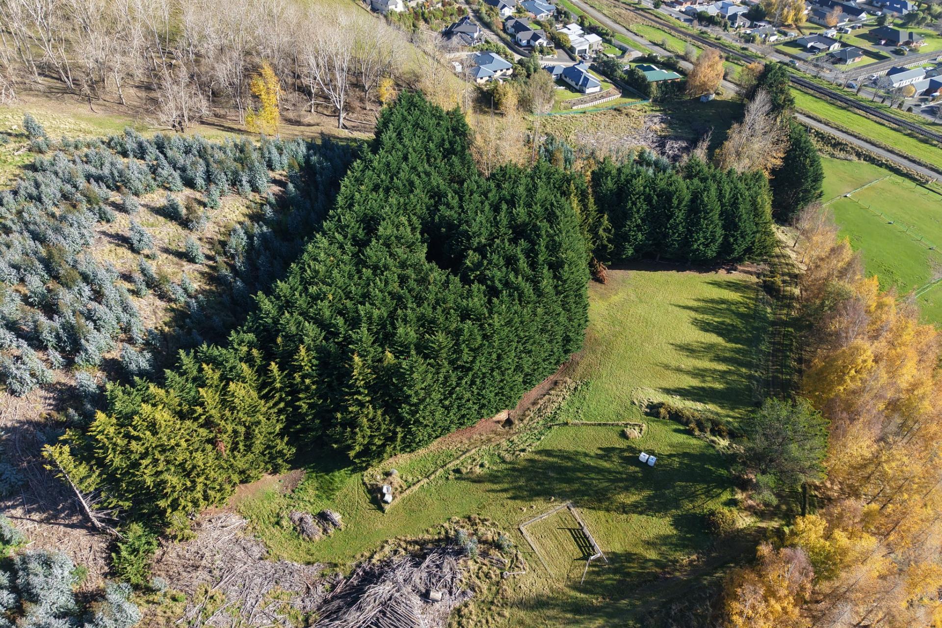 238 Gladstone Road North, Mosgiel