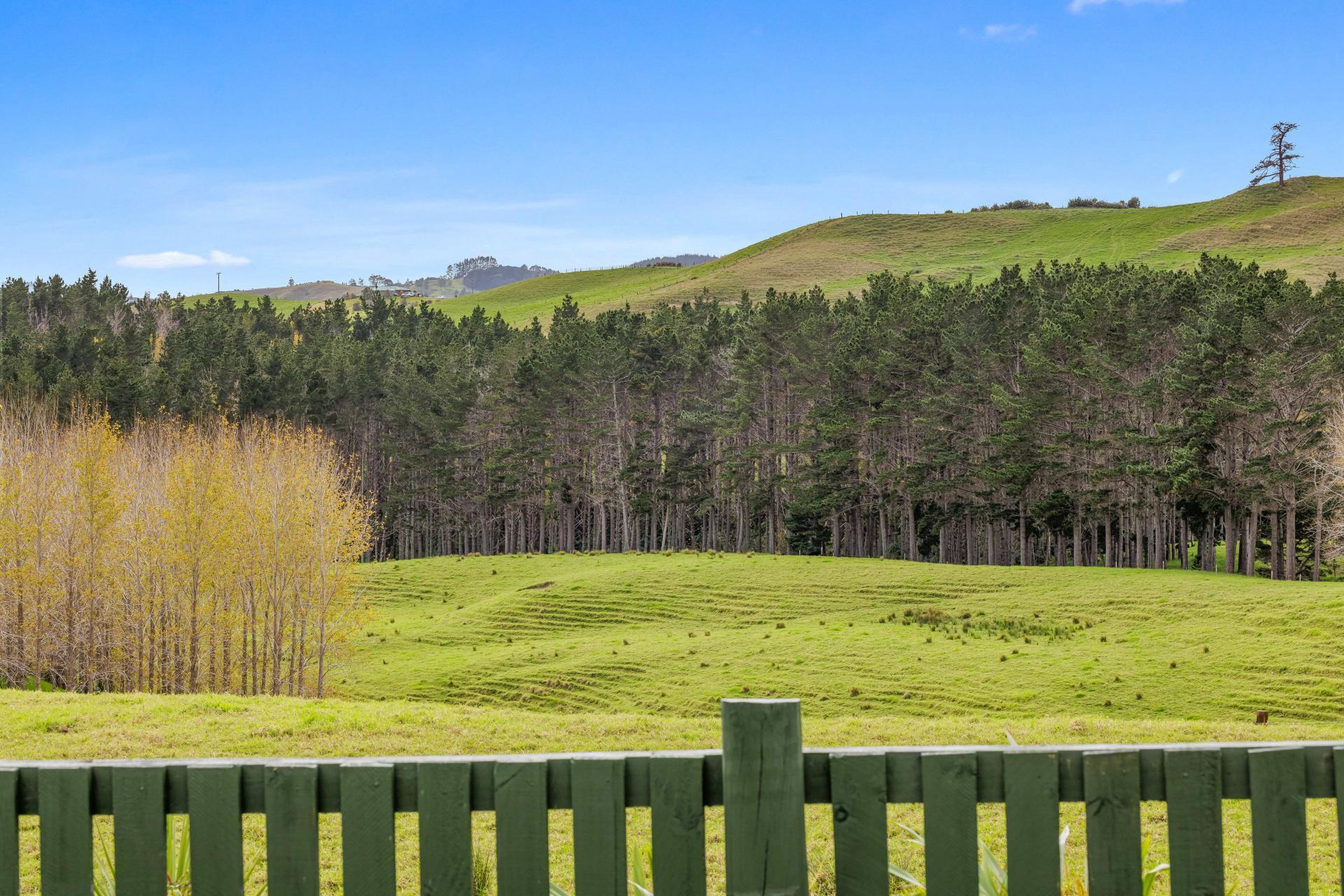 4062 Kaipara Coast Highway, Tauhoa