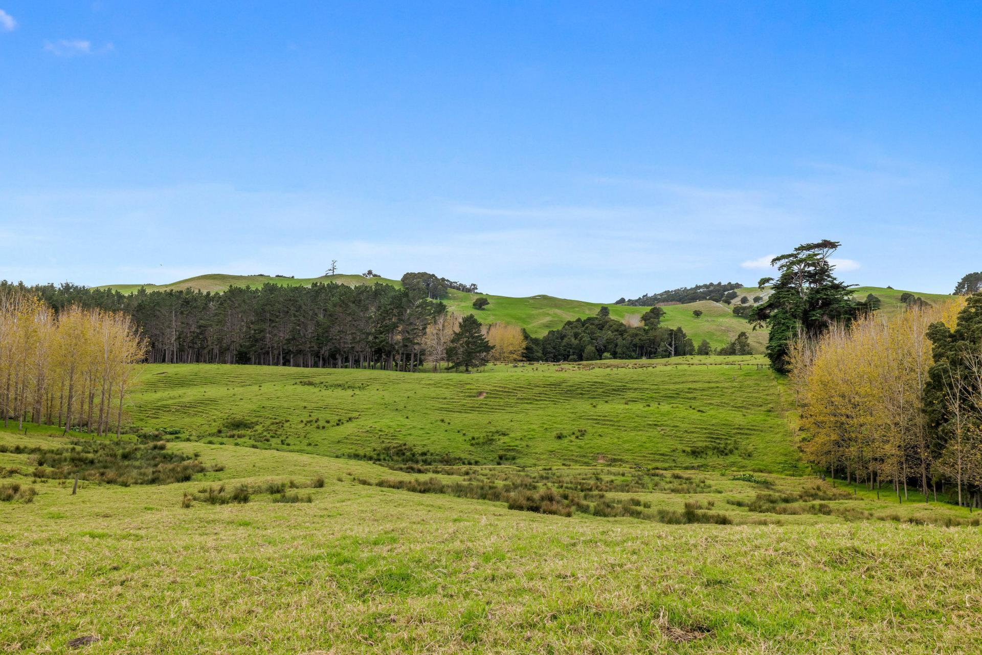 4062 Kaipara Coast Highway, Tauhoa