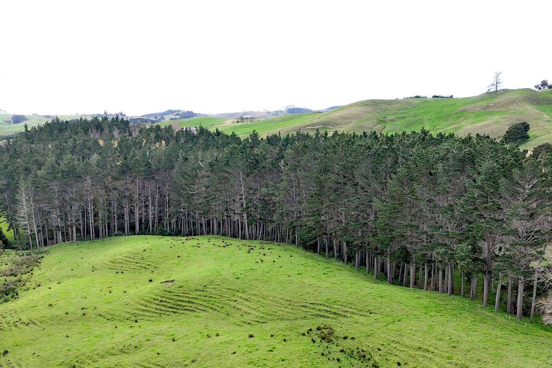 4062 Kaipara Coast Highway, Tauhoa