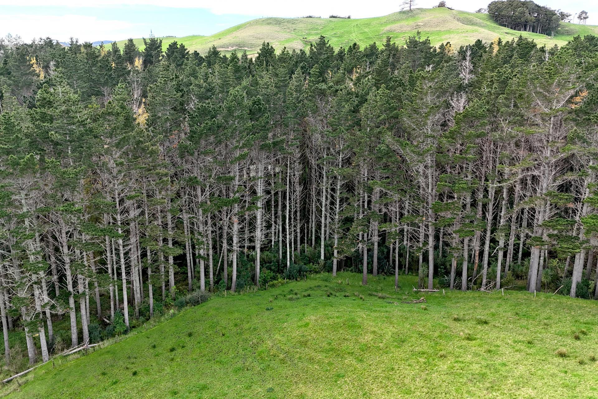 4062 Kaipara Coast Highway, Tauhoa