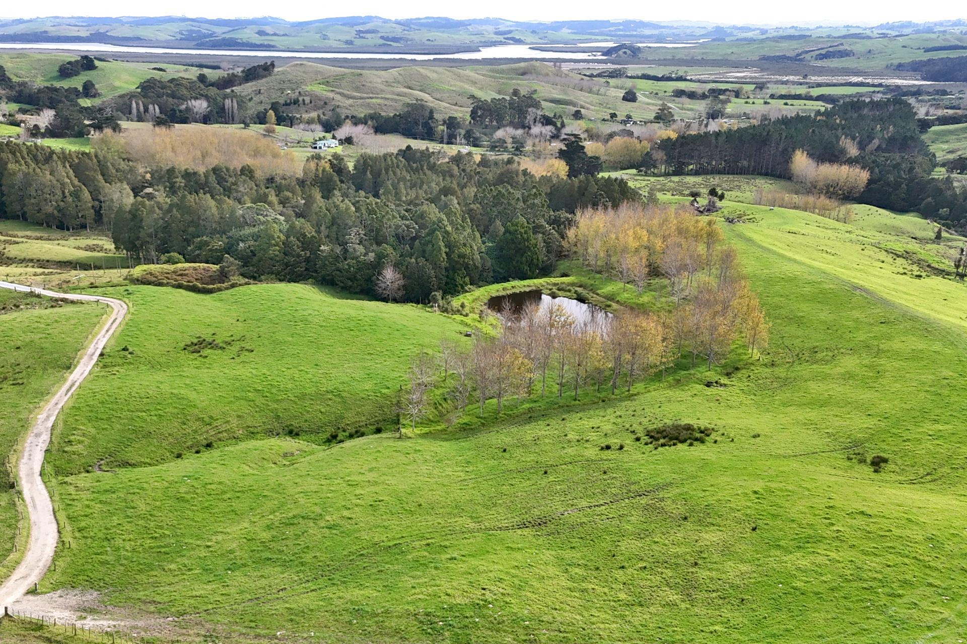 4062 Kaipara Coast Highway, Tauhoa