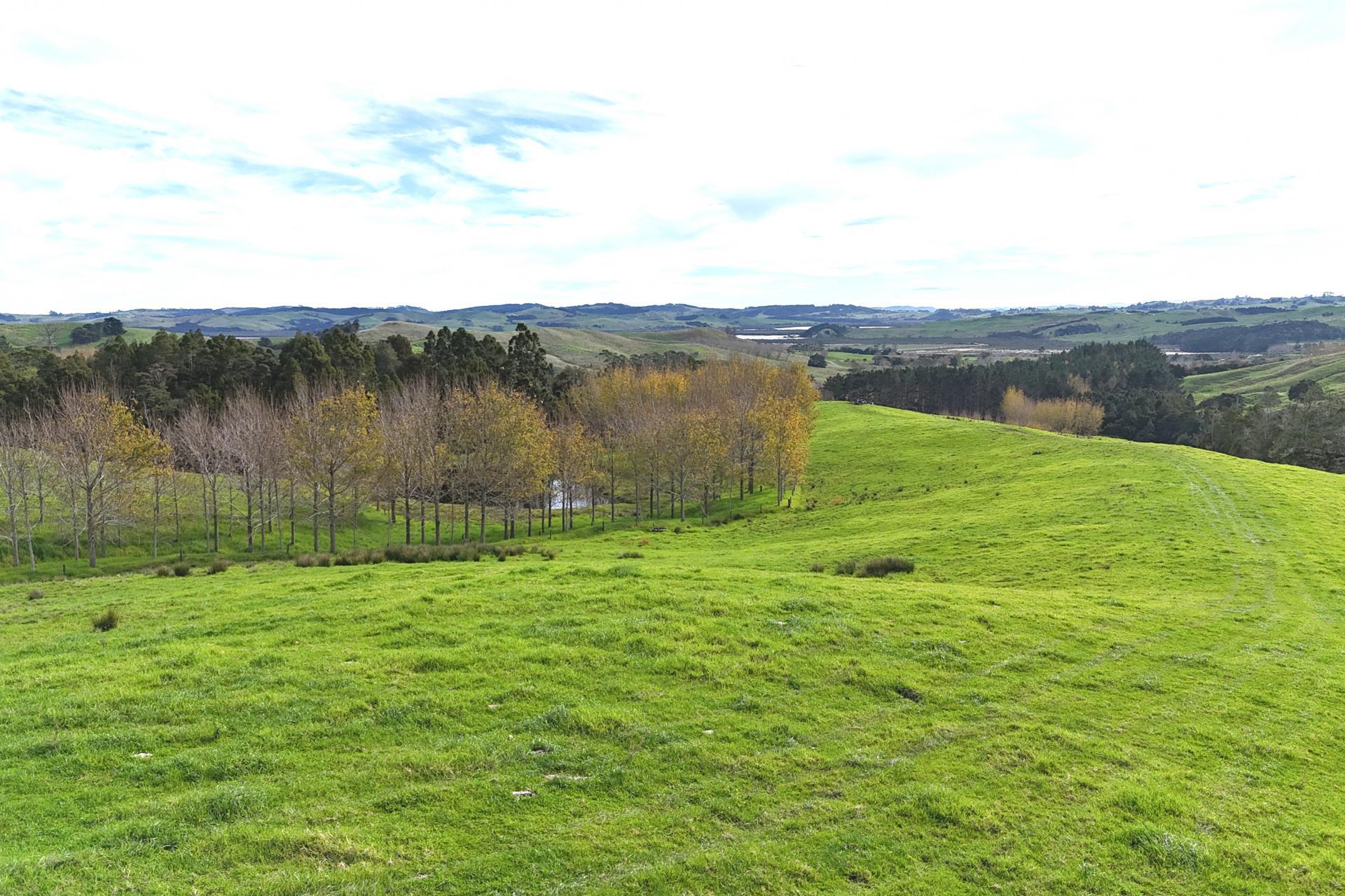 4062 Kaipara Coast Highway, Tauhoa