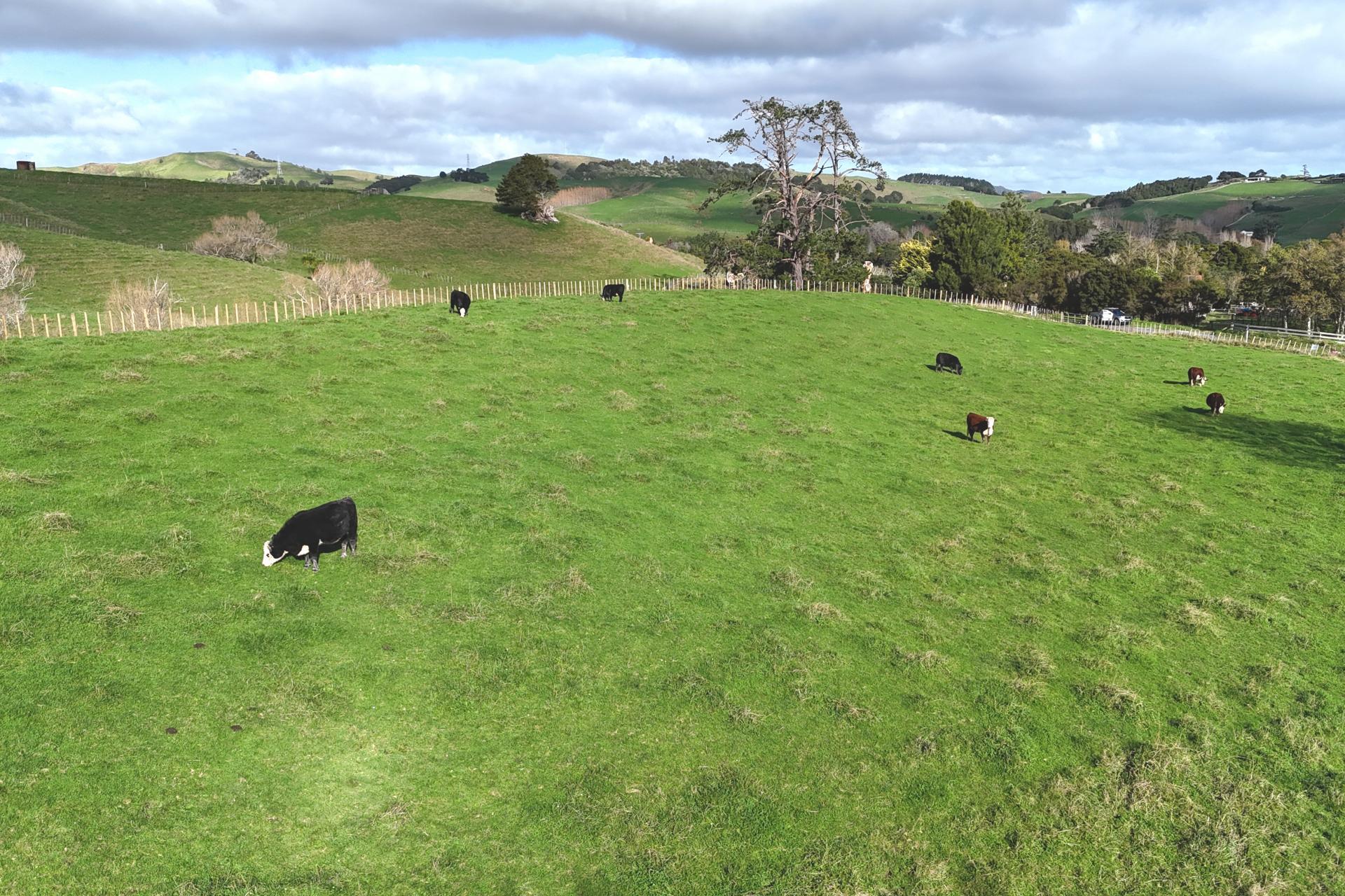 4326 Kaipara Coast Highway, Tauhoa