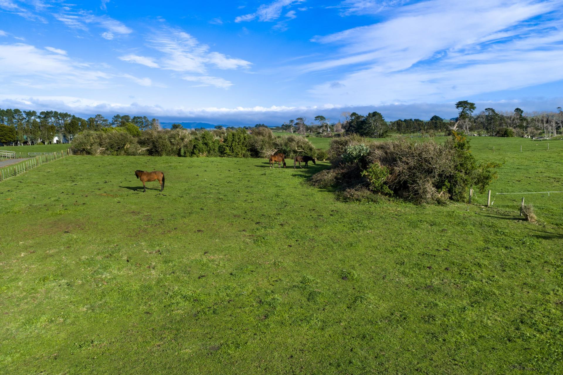 45 Karioitahi Road, Waiuku