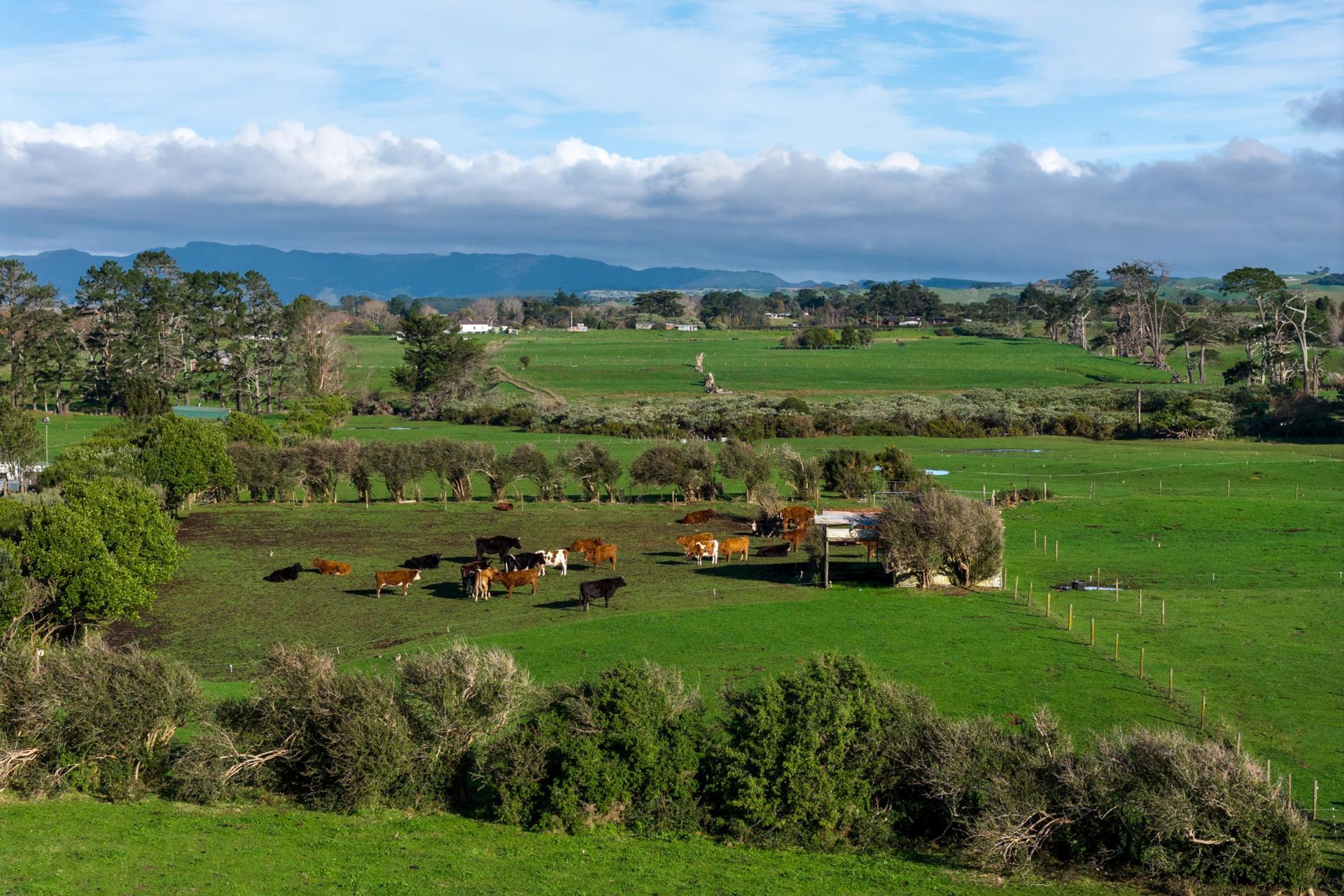 45 Karioitahi Road, Waiuku